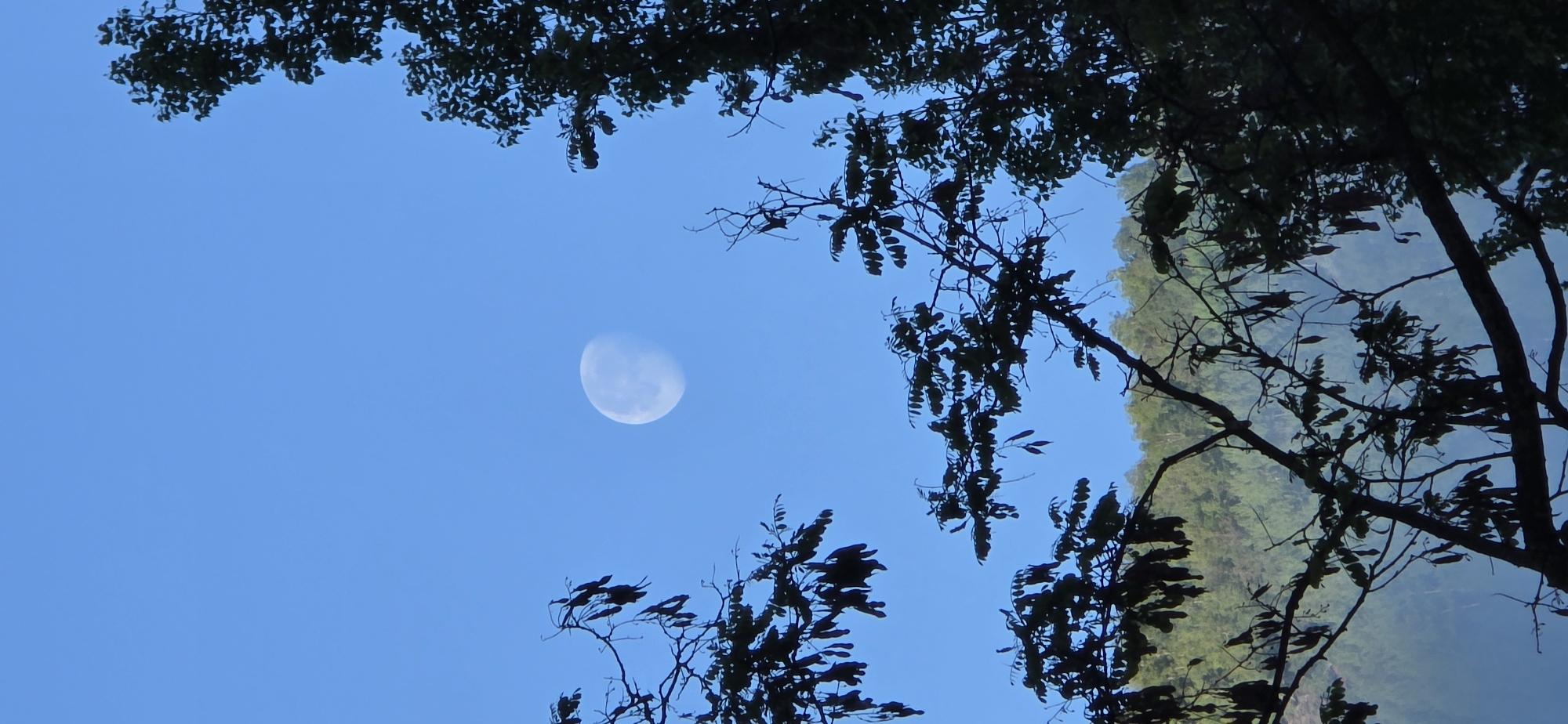 A daytime view looking up through tree branches towards a pale, crescent moon in a bright blue sky. Green mountains are partially visible through the branches on the right side of the image. The location is likely Sahún, Spain, as specified.