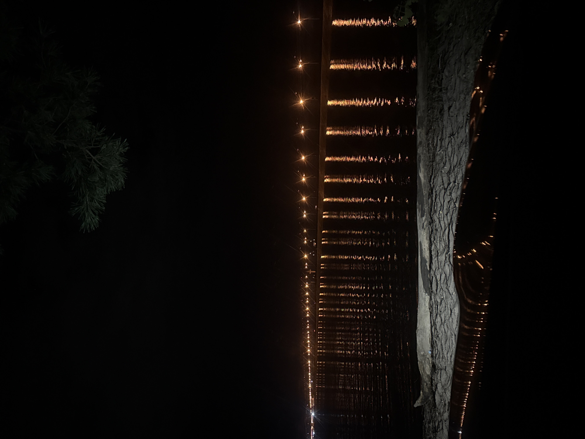 The image depicts a nighttime scene along a waterfront, likely in Noviy, Russia. A long promenade or pier stretches across the frame, lined with evenly spaced streetlights that cast a warm, orange glow. These lights are reflected in the calm water below, creating a shimmering effect. The water's surface is dark, with subtle ripples. In the foreground, a rough, textured embankment or shoreline is visible, with a piece of driftwood resting on it. Above the promenade, the sky is a deep, inky black, with a few dark green pine branches silhouetted against it in the upper right corner. The overall atmosphere is serene and slightly mysterious, illuminated by the artificial lights.