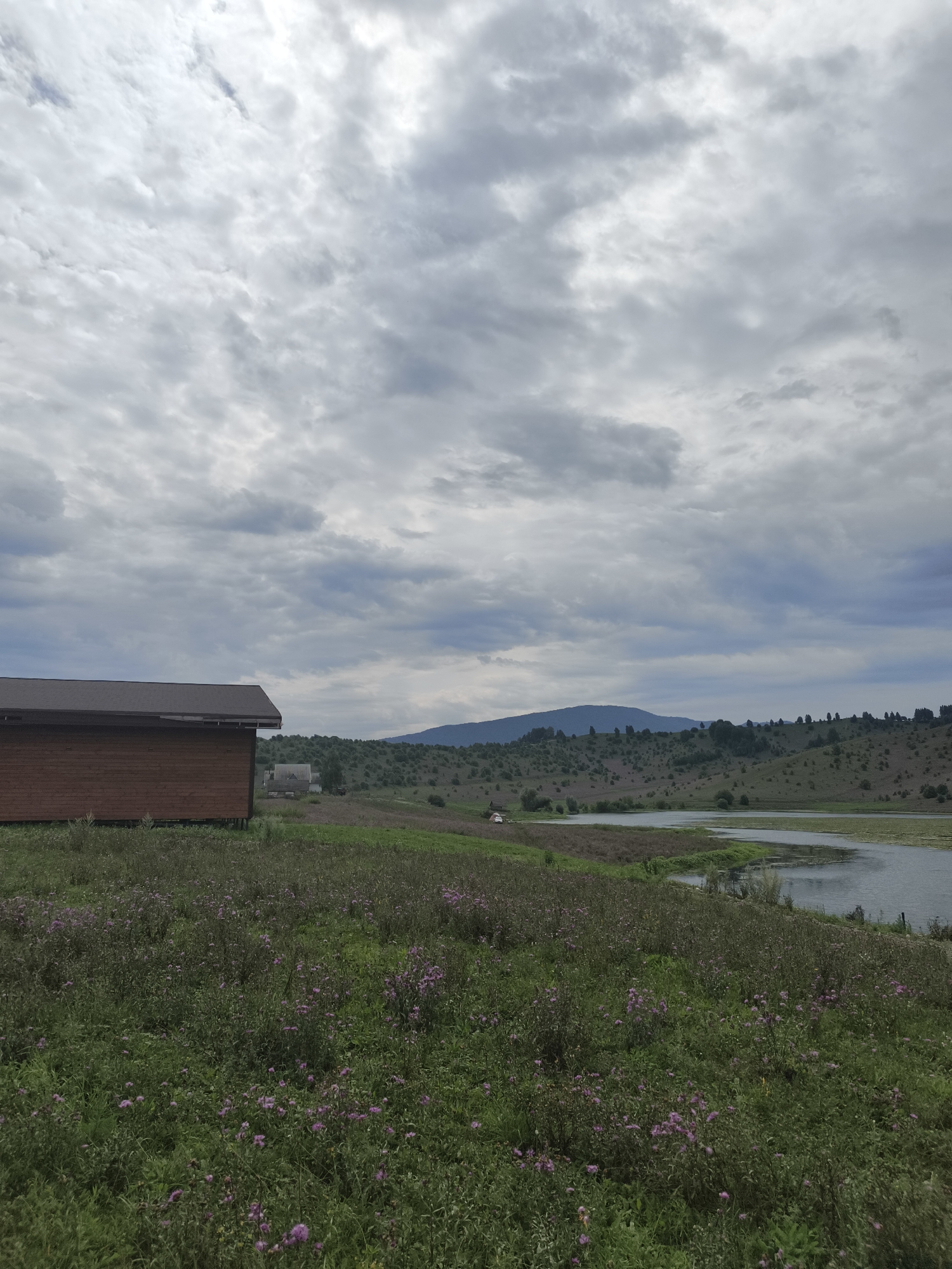 The image depicts a rural landscape under a cloudy sky. In the foreground, a field of green vegetation with scattered purple wildflowers is visible. To the left, a brown wooden structure with a dark roof stands on stilts. Beyond the field, a body of water curves into the distance. Rolling hills covered in green foliage and scattered trees form the middle ground, leading to a larger mountain range in the background. The sky is filled with heavy, gray clouds. The scene appears to be a natural environment, possibly near a village or settlement, given the presence of the structures and the managed appearance of some of the land. The location is specified as Katun', Russia.