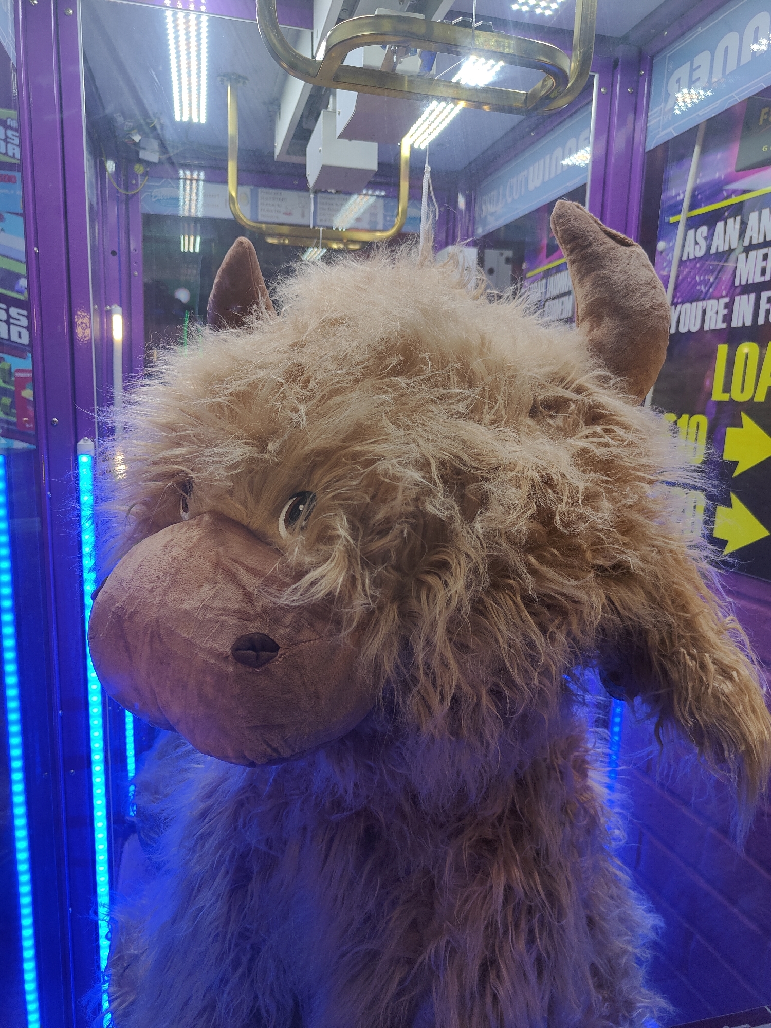 A close-up, eye-level, indoor shot features a large, fluffy, light brown stuffed animal, possibly a yak or bison, inside a claw machine. The stuffed animal is positioned centrally and takes up most of the frame. Its shaggy fur is detailed, with strands of lighter and darker brown hair. The animal has large, dark eyes and a prominent, soft, brown muzzle with stitched nostrils. One ear is clearly visible, pointing upwards, while the other is partially obscured by fur. The background is a blurred interior of a claw machine, with purple framing and bright blue LED lights running vertically along the left side. The top of the machine reveals the golden claw mechanism and brightly lit fluorescent tubes. On the right side of the background, there are colorful signs and graphics, including yellow arrows and text that reads "LOAD" and "AS AN AN...". The overall lighting is dim, with the blue and white lights from the machine creating an artificial glow. The setting is likely an arcade or entertainment venue within the city of Southend-on-Sea, United Kingdom.