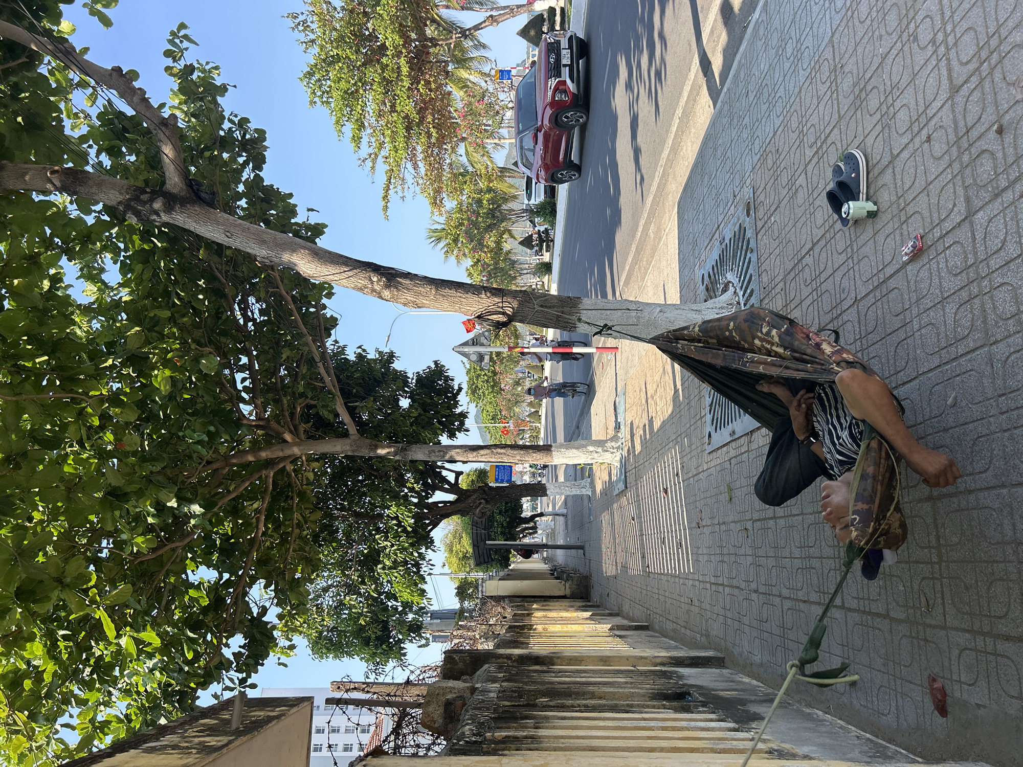 A street scene in Bắc Nha Trang, Vietnam, captured on a bright, sunny day. The image is oriented vertically but depicts a horizontal street view.
In the foreground, a person is resting in a camouflage-patterned hammock. The hammock is strung between a large tree with a thick, partially whitewashed trunk on the left and an unseen anchor point to the right. The person is wearing dark pants, a striped shirt, and a camouflage cap, with their head resting on a blue object. Their feet are visible outside the hammock. On the patterned concrete sidewalk next to the hammock are a pair of dark blue Crocs, an overturned green can (possibly a beverage can), and a small red and white wrapper.
To the left of the hammock, a wide sidewalk extends, bordered by a low concrete wall topped with rebar and some barbed wire. Beyond this wall, buildings with multiple windows are partially visible. Further down the sidewalk, similar trees with green foliage and whitewashed trunks line the path, casting long shadows.
On the far side of the sidewalk is a street where a red SUV, possibly a Hyundai Creta, is driving or parked. Its license plate, "37K-120.73", is partially visible. Other vehicles and a person on a bicycle or scooter can be seen further down the road. In the distance, palm trees, buildings, and hills suggest a coastal or urban landscape. A small red flag with a yellow star (the Vietnamese flag) is tied to the main tree's trunk. The sky above is clear and blue, indicating good weather. The overall atmosphere appears relaxed, with the person enjoying a rest outdoors.