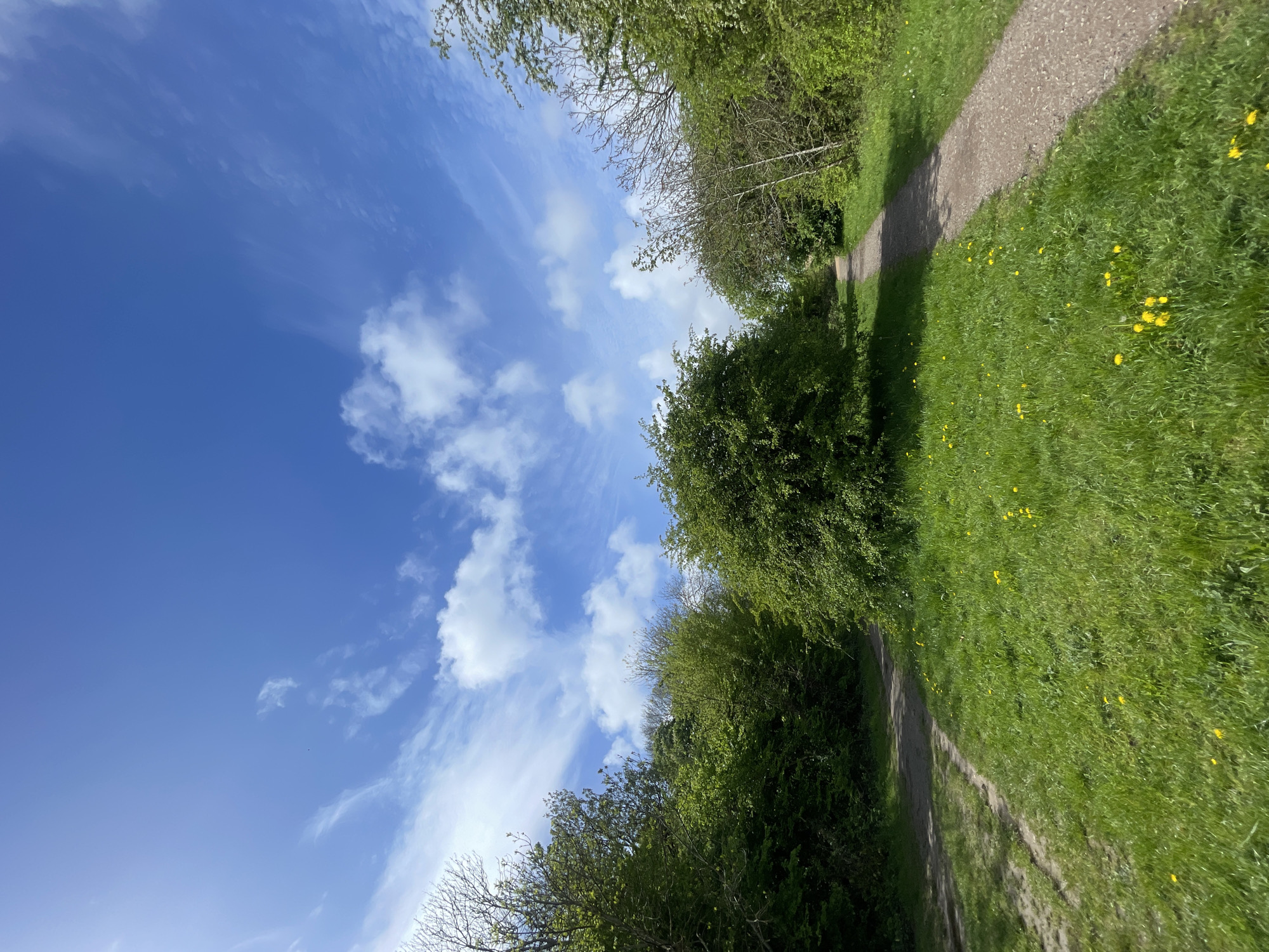 The image depicts a serene outdoor scene, likely a public pathway or trail, located in Portsmouth, United Kingdom. A clear, vibrant blue sky fills the upper half, adorned with scattered white clouds ranging from wispy cirrus to more defined cumulus shapes, indicating a bright and pleasant day. Below the sky, a well-worn dirt or gravel path winds through lush greenery. The path is flanked on both sides by dense trees and foliage, predominantly vibrant green, suggesting late spring or early summer. Some trees also display visible bare branches. The ground beside the path is covered in rich green grass, speckled with numerous small yellow flowers, likely dandelions, particularly noticeable on the right side. Strong sunlight casts distinct shadows, implying a time of day around midday or early afternoon. The absence of people or man-made structures enhances the natural and tranquil atmosphere of the setting. There is no visible text in the image.