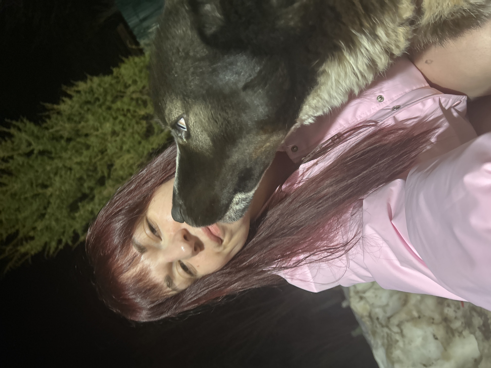 A woman with reddish-brown hair and a pink jacket is being nuzzled by a large dog with dark fur on its face and gray fur on its neck. The background features a dark sky and a green bush. Some snow is visible at the bottom of the frame. The photo was likely taken outdoors at night. The location, Фоки, Russia, is not discernible from the image.