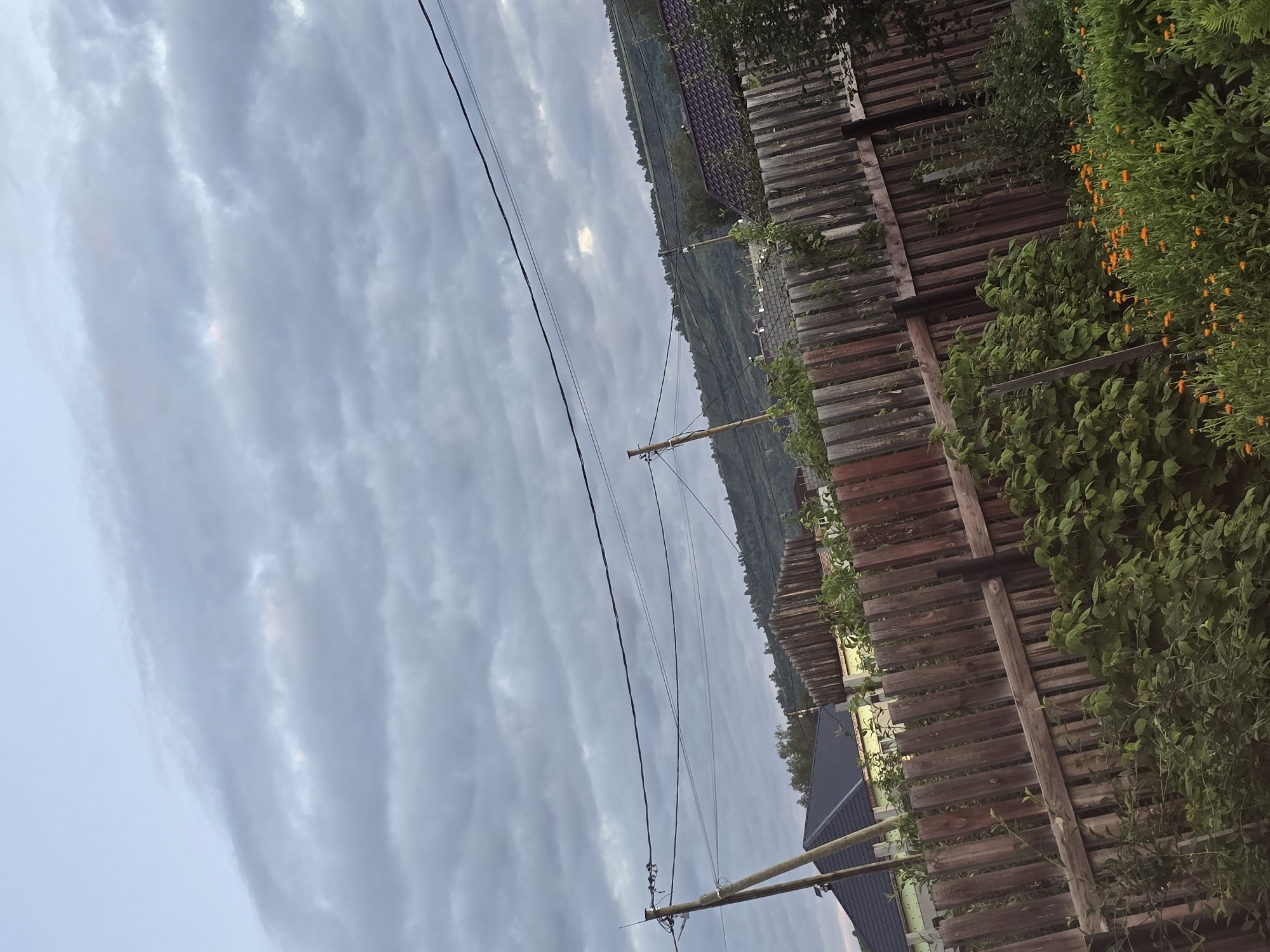 The image depicts a cloudy sky over a rural residential area, likely in Ермолаево, Russia, given the provided context. The foreground is dominated by a weathered wooden fence running horizontally across the frame. Beyond the fence, lush green foliage and blooming orange flowers are visible. In the mid-ground, several houses with dark roofs and pale walls are partially obscured by the fence and vegetation. A wooden utility pole with wires is positioned on the left side of the image, and another similar pole is visible further back. The background features a densely wooded hillside under a grey, overcast sky with breaks of lighter clouds. The overall scene suggests a peaceful, somewhat unkempt, suburban or village setting. There are no people or animals visible in the image.