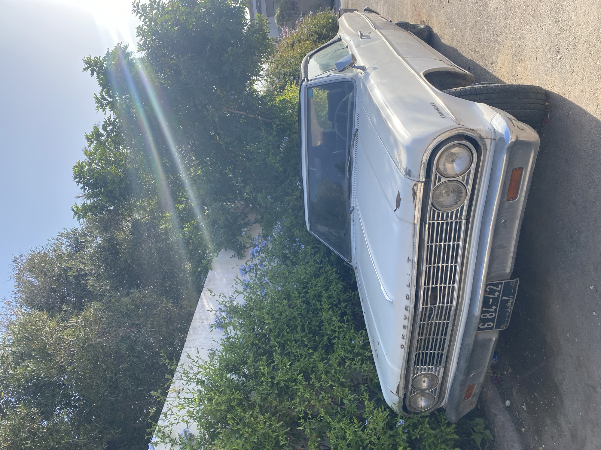 A derelict white 1960s-era Chevrolet sedan, identified as a Chevelle by its badging, is parked on a paved surface. The vehicle exhibits significant paint fade, rust spots on the hood, and a damaged front grille. A Moroccan license plate, displaying "6 84-42" with Arabic text, is affixed to the front bumper, indicating its location in Agadir, Morocco. The car's interior, featuring a steering wheel and dark seats, is visible through the windshield. To the left, a white wall is partially obscured by dense green bushes interspersed with small blue flowers. Large green-leafed trees extend above the wall and bushes. The scene is illuminated by bright sunlight from the upper right, casting lens flares across the upper sky and foliage. No individuals are present in the frame.