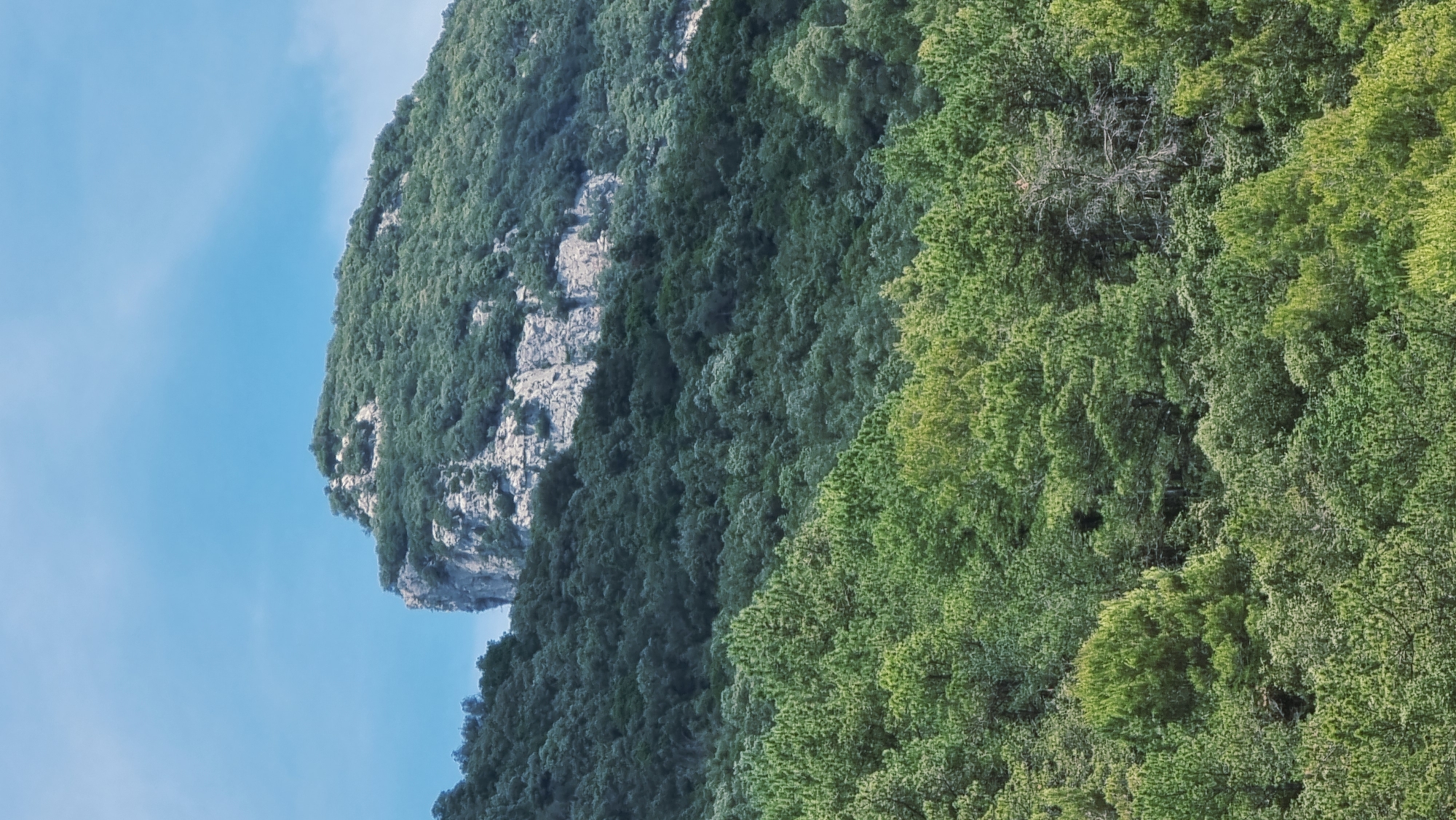 The image depicts a verdant mountainside with a clear blue sky. The mountain is covered in dense green foliage, with patches of rocky terrain visible on its steep slope. The sun appears to be high in the sky, casting a bright light on the scene, suggesting it is daytime. The lush greenery indicates a healthy ecosystem, possibly a natural park or a rural area. The image's orientation, with the sky on the left and the mountain on the right, suggests it was taken from a low angle, looking upwards. There is no visible text or any indication of human presence, objects, or specific activities taking place. The overall impression is one of natural beauty and tranquility. The location context of Sales de Llierca, Spain, aligns with the imagery of a mountainous, forested landscape.