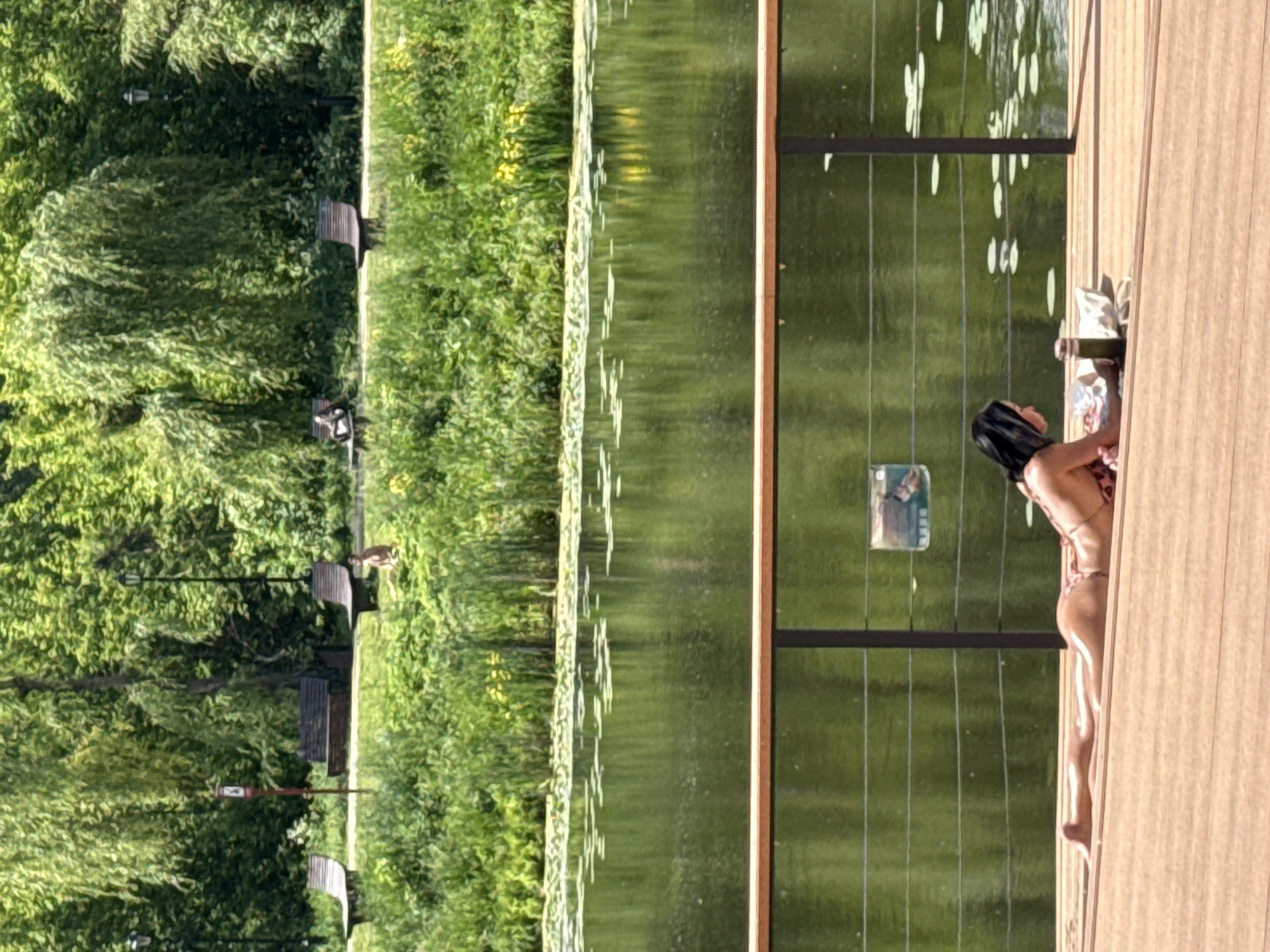 The image depicts a serene outdoor scene, likely a park in Moscow, Russia, under bright, sunny conditions. A woman with dark hair is relaxing on a light-colored wooden deck in the foreground, lying on her stomach or side, facing away from the camera. She is wearing a light-colored or patterned swimsuit. Next to her, a light-colored object, possibly a towel or clothing, is visible on the deck. A small, rectangular object, resembling a tablet or mirror, appears to be floating on the calm water surface close to the deck.
The water, possibly a lake or pond, occupies the middle ground and features several lily pads or similar aquatic plants scattered across its surface. A dark railing runs horizontally, separating the wooden deck from the water. The far bank of the water is characterized by dense, lush green trees and vegetation, suggesting a well-maintained natural environment. Several dark-colored park benches and lampposts are visible among the trees on the opposite shore, indicating a public recreational area. The overall ambiance suggests a peaceful and leisurely daytime setting. No discernible text is visible in the image.