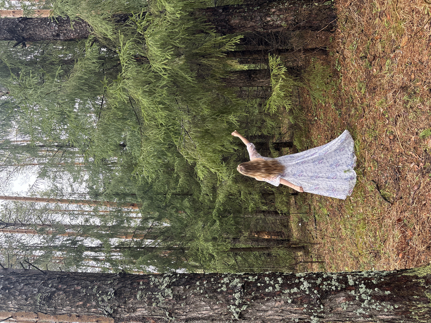 A young woman with long, flowing blonde hair, seen from behind, stands in a dense forest. She wears a long, light-colored dress, possibly white or a pale pastel with a subtle floral or patterned print. Her right arm is extended upwards, while her left arm is slightly bent and lowered, suggesting movement, perhaps dancing, walking, or reaching out.
The scene is dominated by evergreen trees. A large, dark-barked tree trunk covered in light green lichen partially frames the foreground on the left. Behind the woman, a dense wall of spruce or fir trees with rich green needles fills the mid-ground. In the background, taller, lighter-barked conifer trees, likely pines, rise towards an overcast or bright sky, visible through the canopy gaps. The forest floor is covered with a mix of dry brown leaves, green undergrowth, and reddish-brown earth, indicating a natural, untouched environment.
The time of day appears to be daytime, possibly overcast, given the soft, diffused light and lack of strong shadows. The setting evokes a sense of peace, natural beauty, and perhaps whimsy. There is no visible text in the image. The forest type is consistent with the location context of Chaikovsky, Russia.