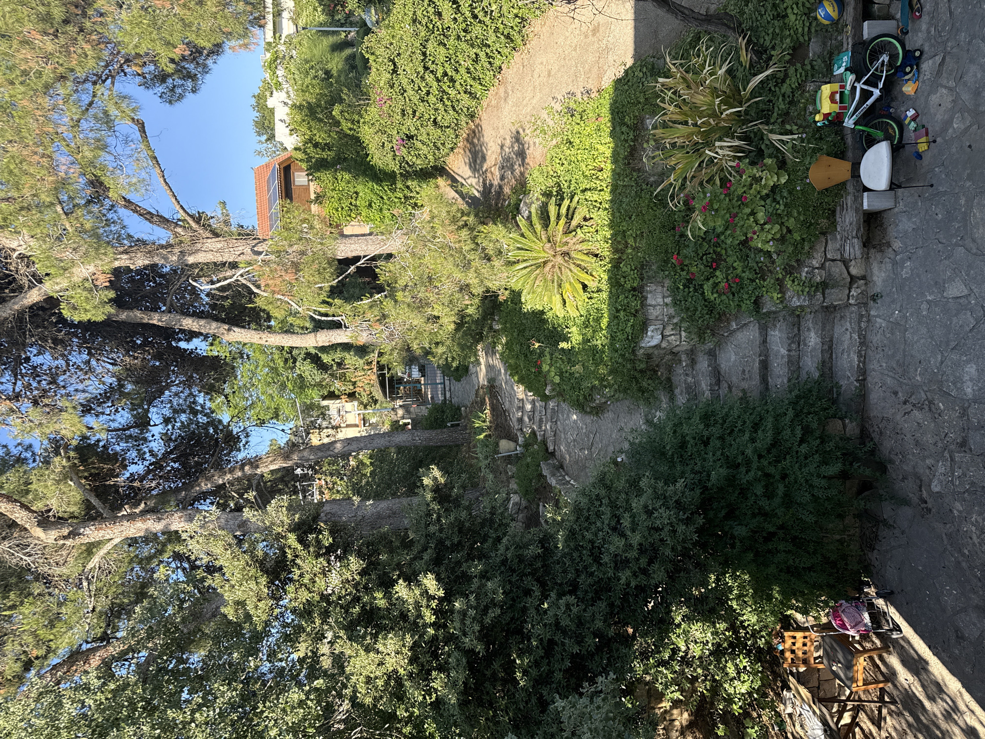 The image shows a winding stone pathway leading uphill through a lush, green garden in Kfar Vradim, Israel. Tall trees with dense foliage cast dappled shadows on the path and surrounding vegetation. A small, red-tiled roof house with solar panels is visible in the upper right portion of the frame, nestled amongst the trees and greenery.
In the foreground, several items are scattered on the stone patio. These include a white chair with a wooden back, a child's bicycle with green accents, a yellow and blue ball, and various small toy building blocks. To the left, a wooden table and two chairs are set up, with a pink and white checkered baby stroller parked beside them. The overall scene suggests a tranquil, residential outdoor space, possibly a backyard or garden area.