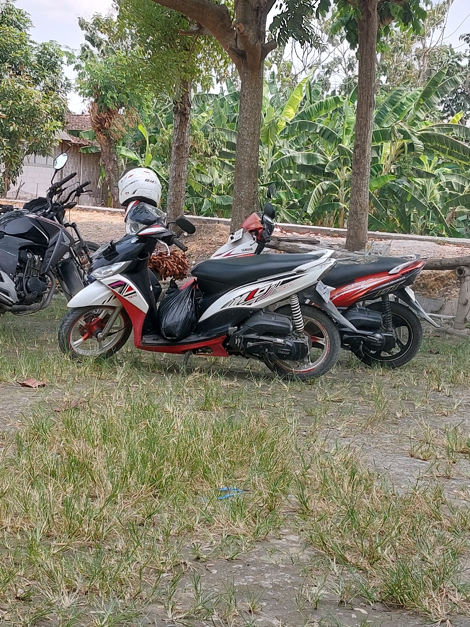 Memory