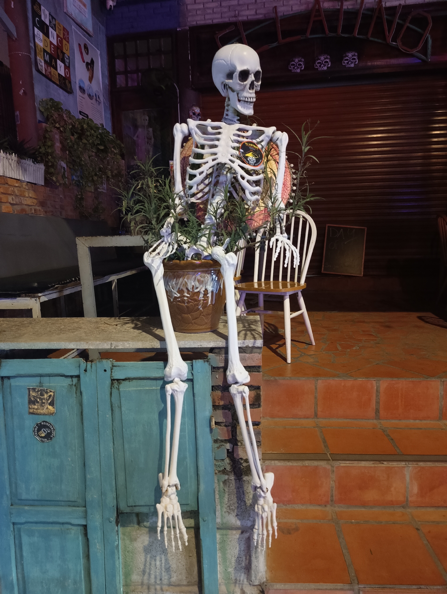 The image depicts an outdoor scene at night, likely a restaurant or bar, with a skeletal decoration prominently displayed. The skeleton is positioned to appear as if it is sitting, with its legs dangling over the edge of a platform. It is adorned with a potted plant and appears to be wearing a circular patch on its chest. Behind the skeleton, a white wooden chair with a light-colored seat is visible. The background features a dark, corrugated metal roller door and brickwork. To the left, a teal-colored door with two circular stickers is present, and beyond that, a brick wall with posters is visible. The ground appears to be paved with terracotta tiles, and brick steps lead up to the main area. The overall impression is a festive or Halloween-themed decoration.