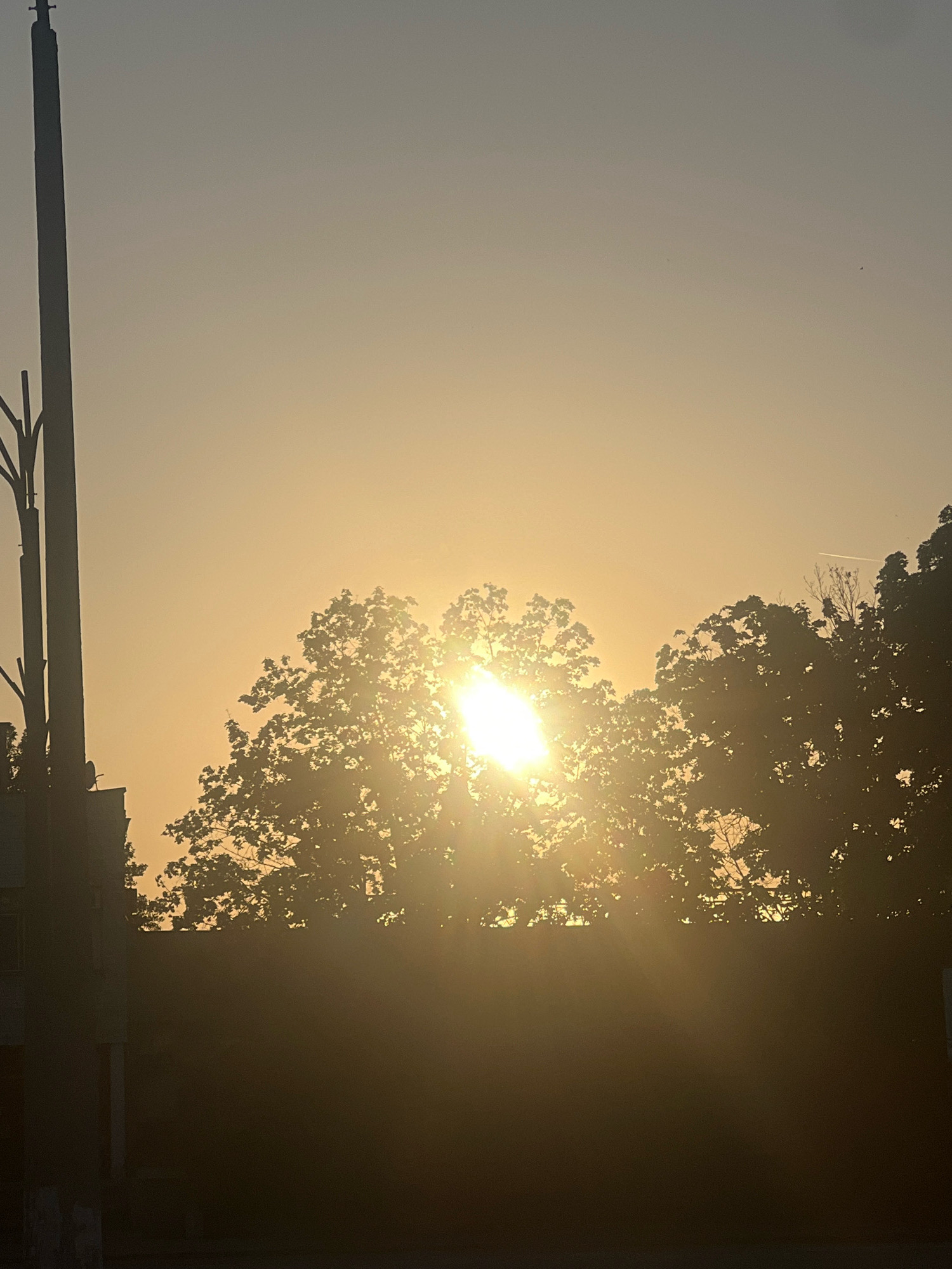 The photograph captures a sunset behind a silhouette of trees in Plovdiv, Bulgaria. A tall, dark lamppost or utility pole stands on the left side of the frame, its top obscured by the upper edge of the image. To the right of the pole, silhouetted trees are visible, their branches and leaves backlit by the setting sun. The sun itself is a bright, glowing orb positioned directly behind the trees, creating a lens flare effect and a radiant glow that illuminates the sky with warm hues of orange and yellow. The sky transitions from a lighter yellow near the horizon to a pale gray towards the top of the image. In the lower portion of the image, the ground and a dark, indistinct structure are visible, largely in shadow due to the low angle of the sun. The overall scene is serene and evocative of the end of the day.