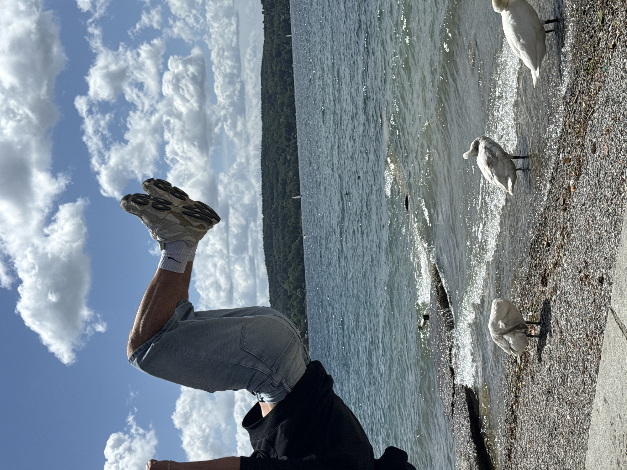 In Starnberg, Germany, a person's legs, clad in denim shorts and athletic shoes, are suspended in the air against a backdrop of a bright blue sky filled with fluffy white clouds. The person appears to be in motion, possibly performing a stunt or a dynamic pose. Below, the clear blue waters of Starnberger See gently lap at a pebbled shoreline. Three white swans are visible near the water's edge. Two are standing on the shore, while one is partially submerged. In the distance, a dense, green forest stretches across a rolling landscape, and a few sailboats are scattered across the lake. The overall scene is one of activity and nature.