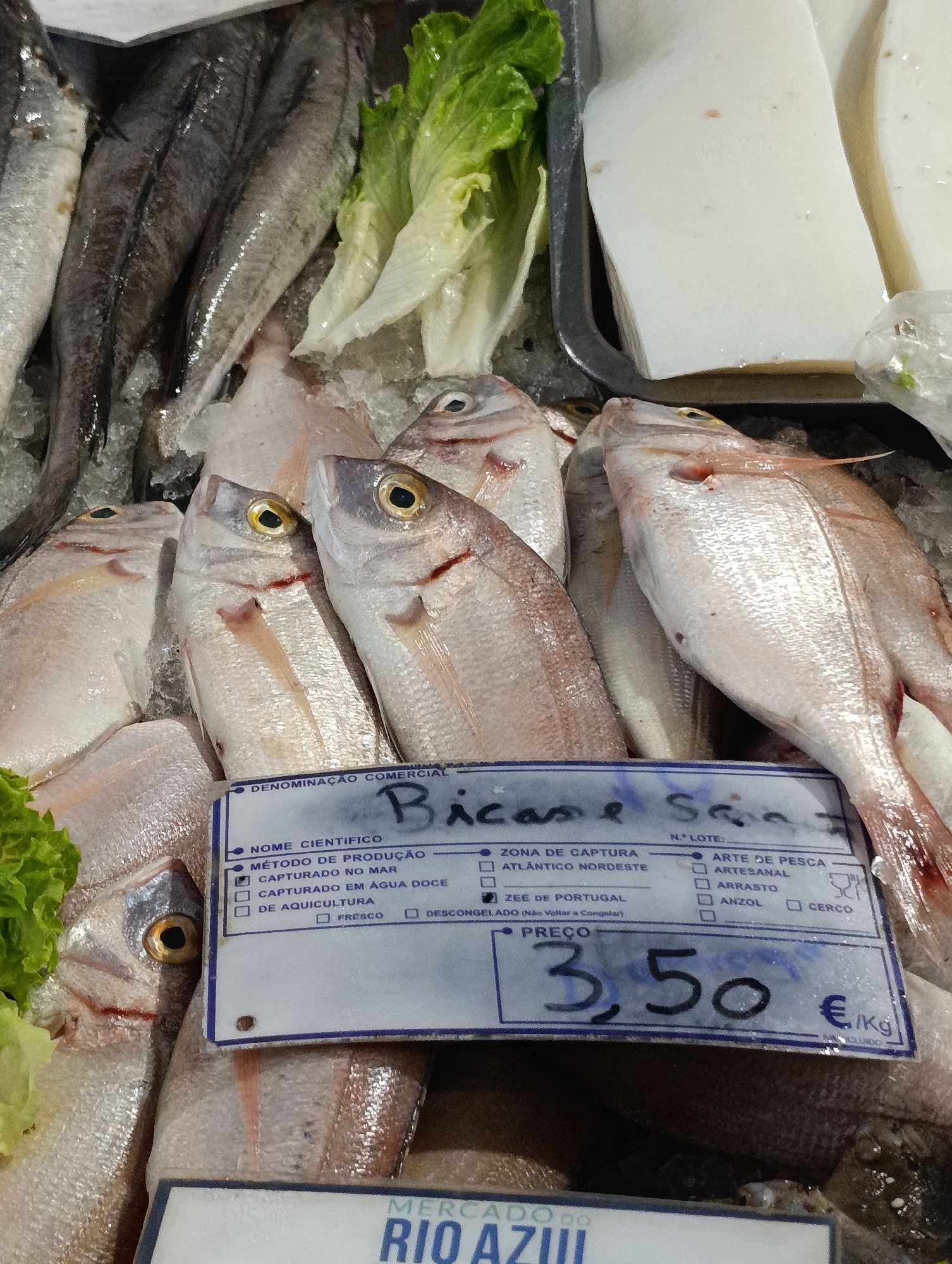 The image shows a close-up of a display of fresh fish on ice at a market. The fish are primarily pinkish-silver with some darker grey ones in the background. There are also some green lettuce leaves visible. A price tag is displayed in the foreground, showing a price of 3,50 €/Kg. The tag also has checkboxes for "ZONA DE CAPTURA" (fishing area) and "ARTE DE PESCA" (fishing gear), and "MÉTODO DE PRODUÇÃO" (production method) with options like "CAPTURADO NO MAR" (caught at sea), "ATLANTICO NORDESTE" (Northeast Atlantic), "CAPTURADO EM ÁGUA DOCE" (caught in fresh water), "ZEE DE PORTUGAL" (Portuguese EEZ), "DE AQUICULTURA" (aquaculture), "FRESCO" (fresh), "DESCONGELADO (Não Voltar a Congelar)" (frozen - do not refreeze), "ARTESANAL" (artisanal), "ARRASTO" (trawl), and "CERCO" (seine). The background is blurred, but suggests a busy market environment. The overall impression is of a fresh seafood display ready for sale.