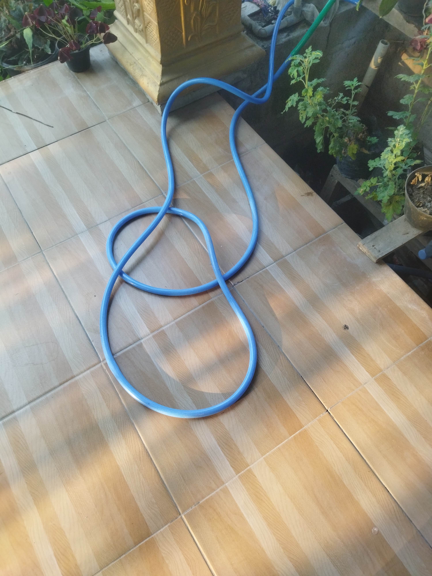 A blue garden hose lies coiled on a tiled floor. The tiles are a light brown color with vertical stripes. Sunlight casts shadows across the tiles. In the background, there are potted plants, including one with dark red, clover-shaped leaves. A light-colored, textured object, possibly a decorative planter or pillar, is also visible. The environment suggests an outdoor setting, likely a patio or garden area. There are no people visible in the image.
