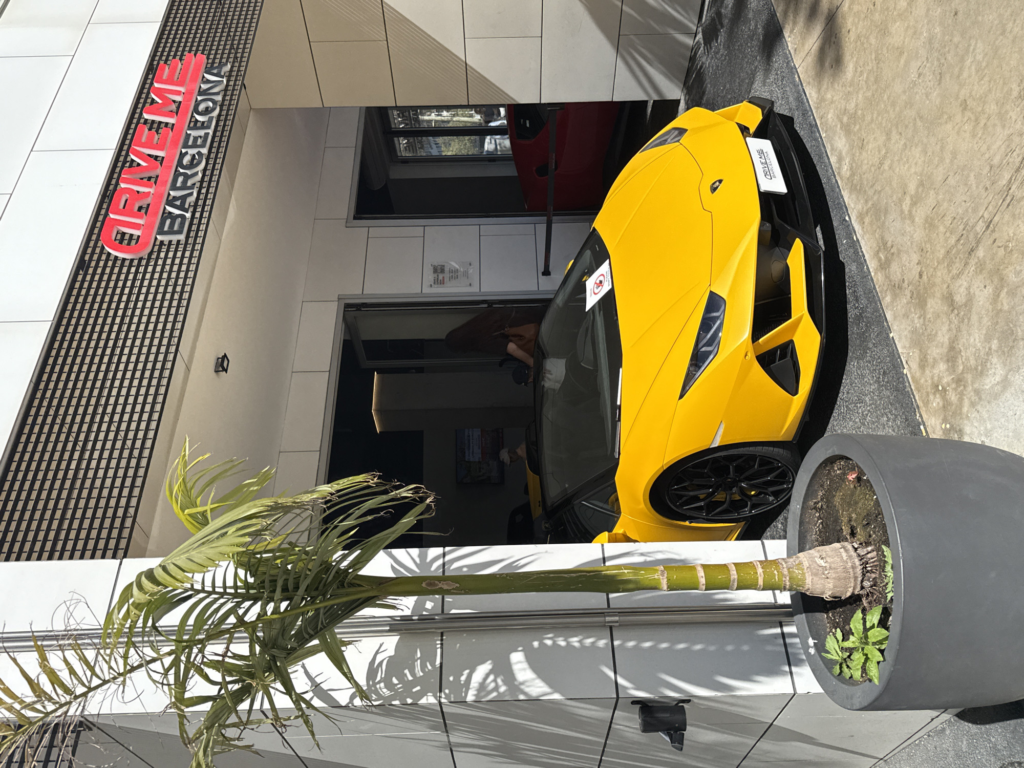 A medium-shot, eye-level photograph shows a yellow Lamborghini parked outside “Drive Me Barcelona”. The car is partially visible, and the front portion is in clear view. The building's facade, painted white, features a black grille with the red-and-black “Drive Me Barcelona” logo. The car has a license plate with “Drive Me Barcelona” on it as well. The background shows people and a glimpse of a red car inside what appears to be the establishment’s garage or showroom. A potted palm tree is in the foreground, partly obscuring the facade. The image conveys a scene in Barcelona, Spain, showcasing luxury car rental services.