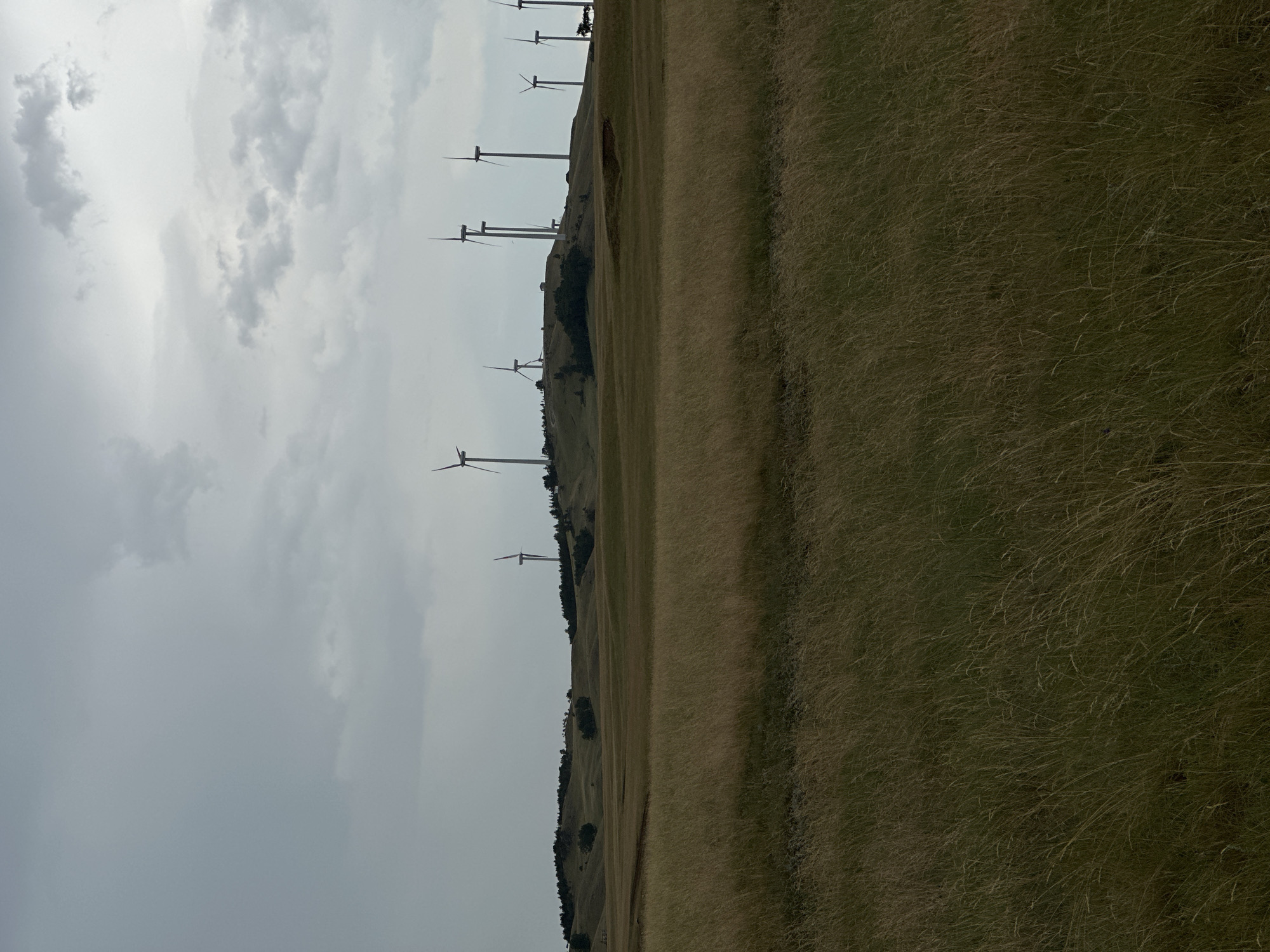 A wide shot captures a rolling, grassy landscape under a cloudy sky. In the distance, a line of wind turbines stands silhouetted against the horizon, perched on a distant ridge. The foreground is dominated by tall, dry grass, creating a textured, muted green and brown carpet. The sky is overcast with patches of lighter clouds, suggesting a diffused light. The scene appears to be a rural, open area, possibly a field or pastureland. There are no people visible in the image. The location is described as Жаңаауыл, Kazakhstan.