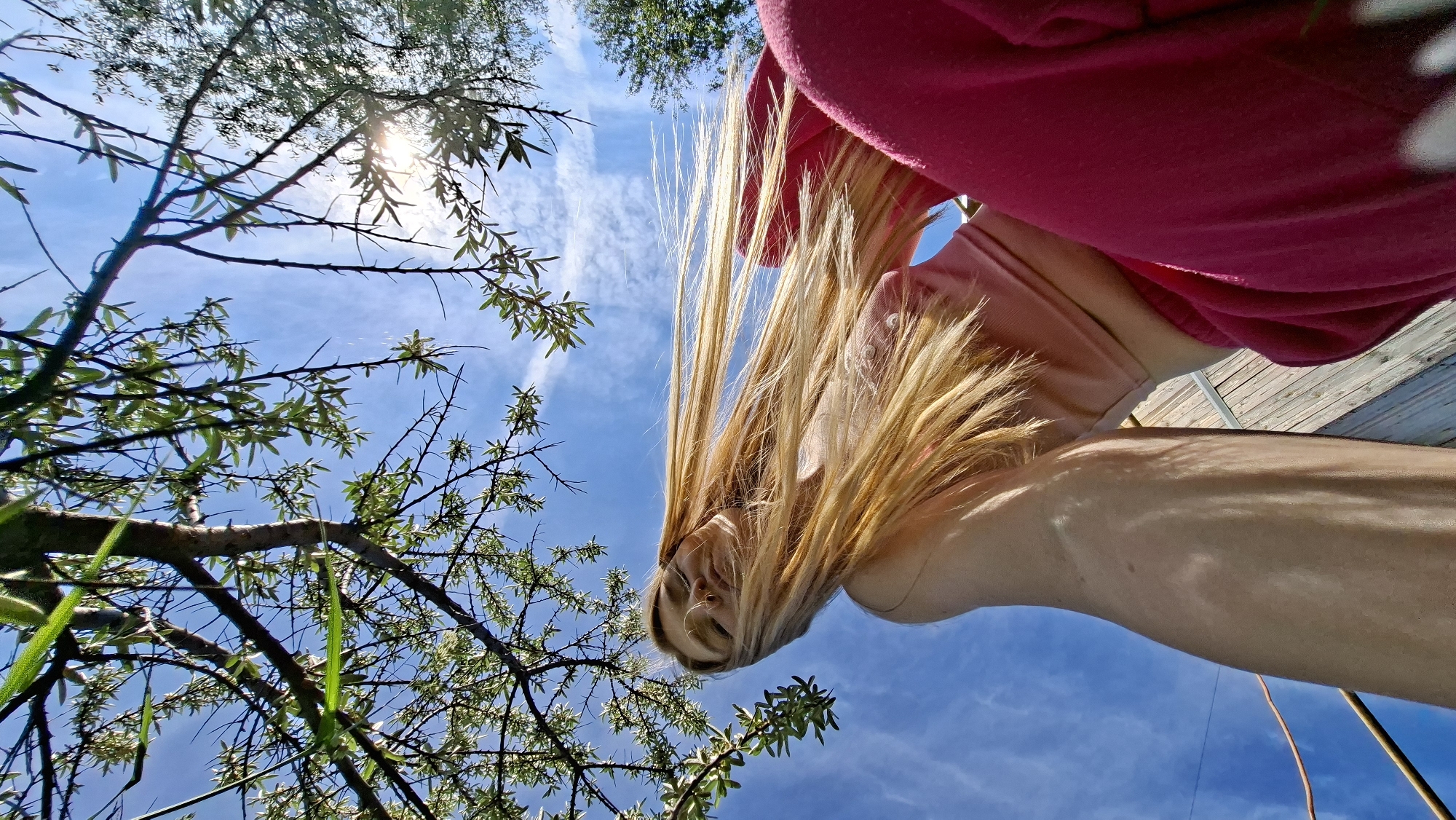 This is a low-angle, worm's-eye view photograph capturing a bright outdoor scene. The main subject is a person with long, light blonde hair, seen leaning or looking downwards towards the camera, appearing upside down from the viewer's perspective. Her hair cascades dynamically across the frame, catching the sunlight. She is wearing a vibrant pink top or hoodie, with parts of her bare arm and shoulder visible. Her face is partially obscured by her hair but hints at a youthful appearance.
The background features a clear, bright blue sky with wispy white clouds. The sun is visible in the upper left, partially obscured by tree branches, creating a lens flare and bright highlights. Lush green foliage and thorny branches from a tree frame the left side and foreground of the image, contributing to the natural setting. In the upper right and extending behind the person, a wooden surface, possibly a deck or railing, is visible. A thin brown cord or wire can be seen against the sky in the lower right portion of the frame.
The photograph captures a moment of bright sunshine, likely during the day, with strong shadows and highlights indicating clear weather. The unique perspective and flowing hair suggest a playful or artistic pose. The setting appears to be outdoors in a garden or natural area, identified as Большой Букор, Russia. There is no visible text.