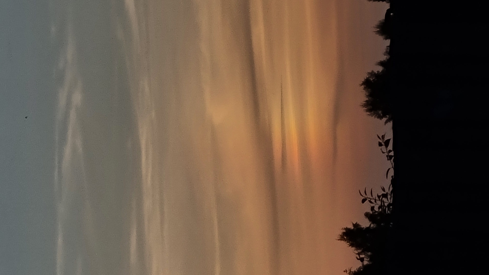 A vertical, close-up, medium shot captures a hazy sky at dusk over Vysokoe, Russia. The sky transitions from a pale blue at the top to a warm, peachy orange near the horizon, streaked with wispy clouds. Silhouetted against the horizon, a line of dark trees and foliage forms the lower boundary of the image, with a thin, leafless branch extending into the frame from the left, its delicate structure visible against the gradient sky. The overall impression is one of a tranquil, fading day.