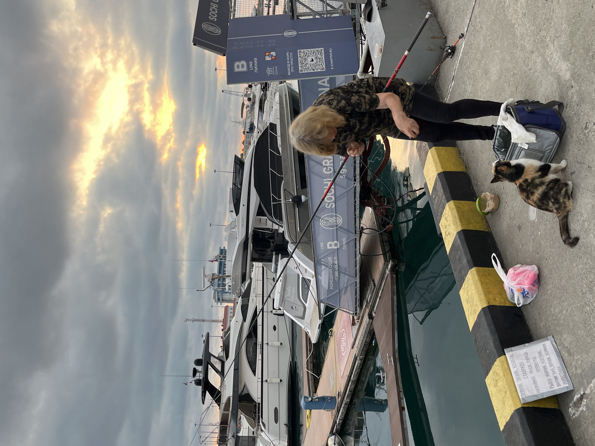 The image depicts a woman fishing on a dock in Sochi, Russia, with several yachts in the background and a cloudy sky with a hint of sunset. The woman, wearing a camouflage t-shirt and black pants, is holding a fishing rod. A calico cat is sitting beside a blue and grey fishing bag, looking up at the woman. A sign placed on the dock lists types of fish and bait, as well as instructions to not feed the animals. The dock is made of wood and concrete, with yellow and black striped bollards along the edge. The water in the marina is dark and reflects the sky and surrounding structures. The overall scene suggests a leisurely activity taking place in a port setting.