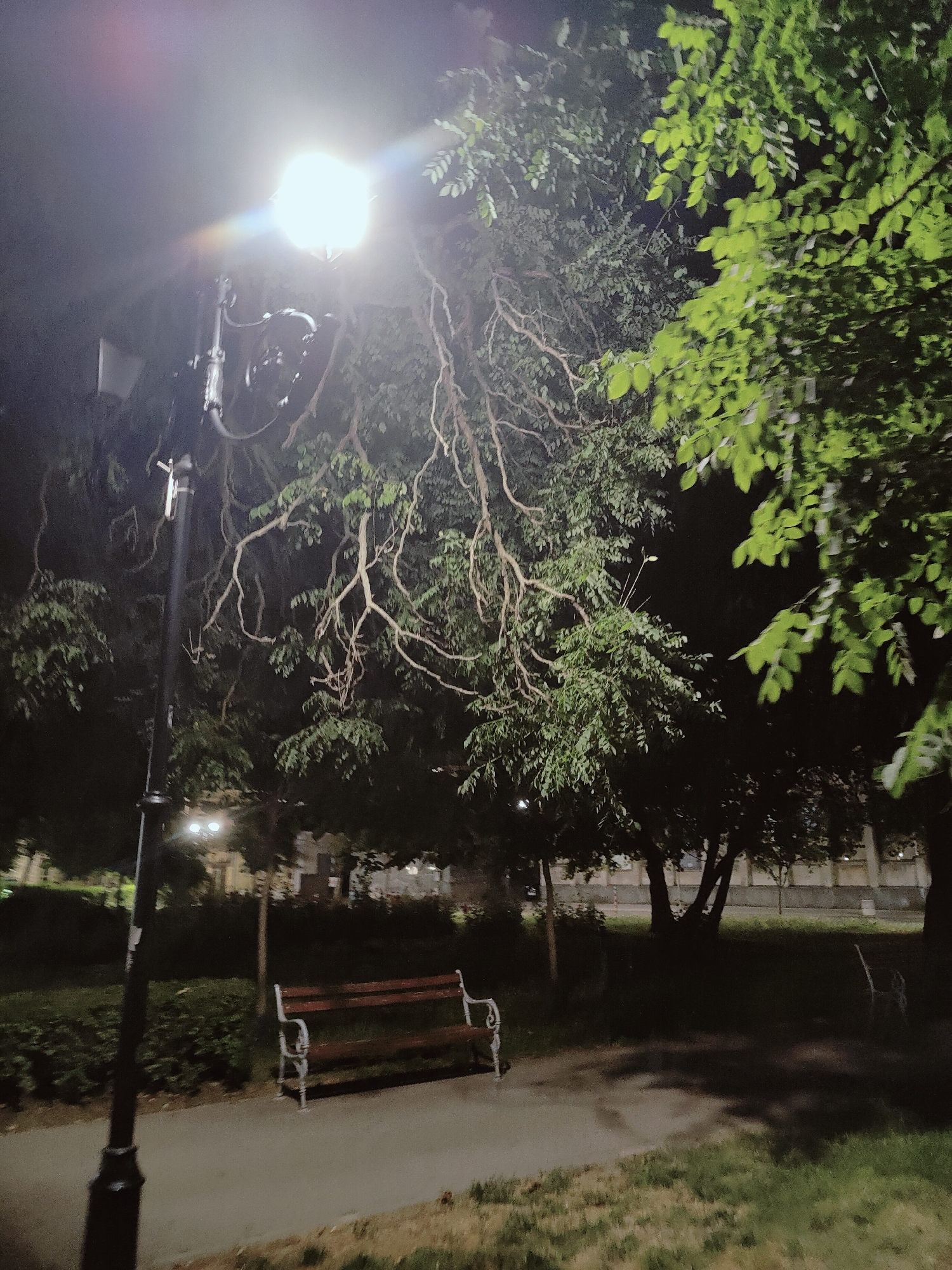 A park scene at night features a lamppost casting a bright light on a tree with many branches. In the foreground, a paved path leads past a wooden bench with white metal legs. Beyond the bench, there are bushes and more trees, with some buildings visible in the background.