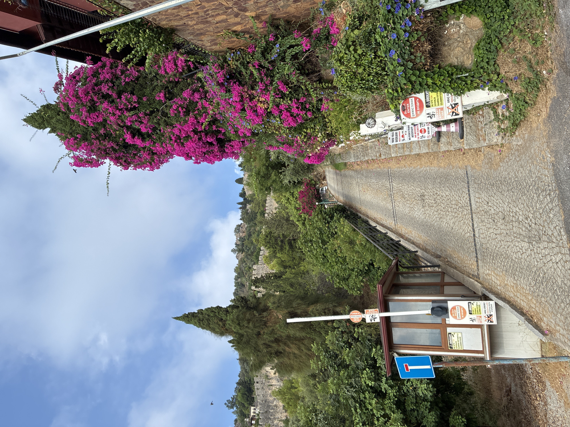 The image shows a steep, cobblestone road leading uphill towards the Alanya Castle in Alanya, Turkey. A small guard booth with a boom barrier is positioned at the bottom of the road, controlling access. Several signs are posted on and around the booth, some in Turkish and some in English, indicating restrictions such as "DO NOT ENTER" and "NO PEDESTRIAN ACCESS". Lush green trees and vibrant pink bougainvillea flowers adorn the sides of the road and climb up a stone wall. The sky is partly cloudy.