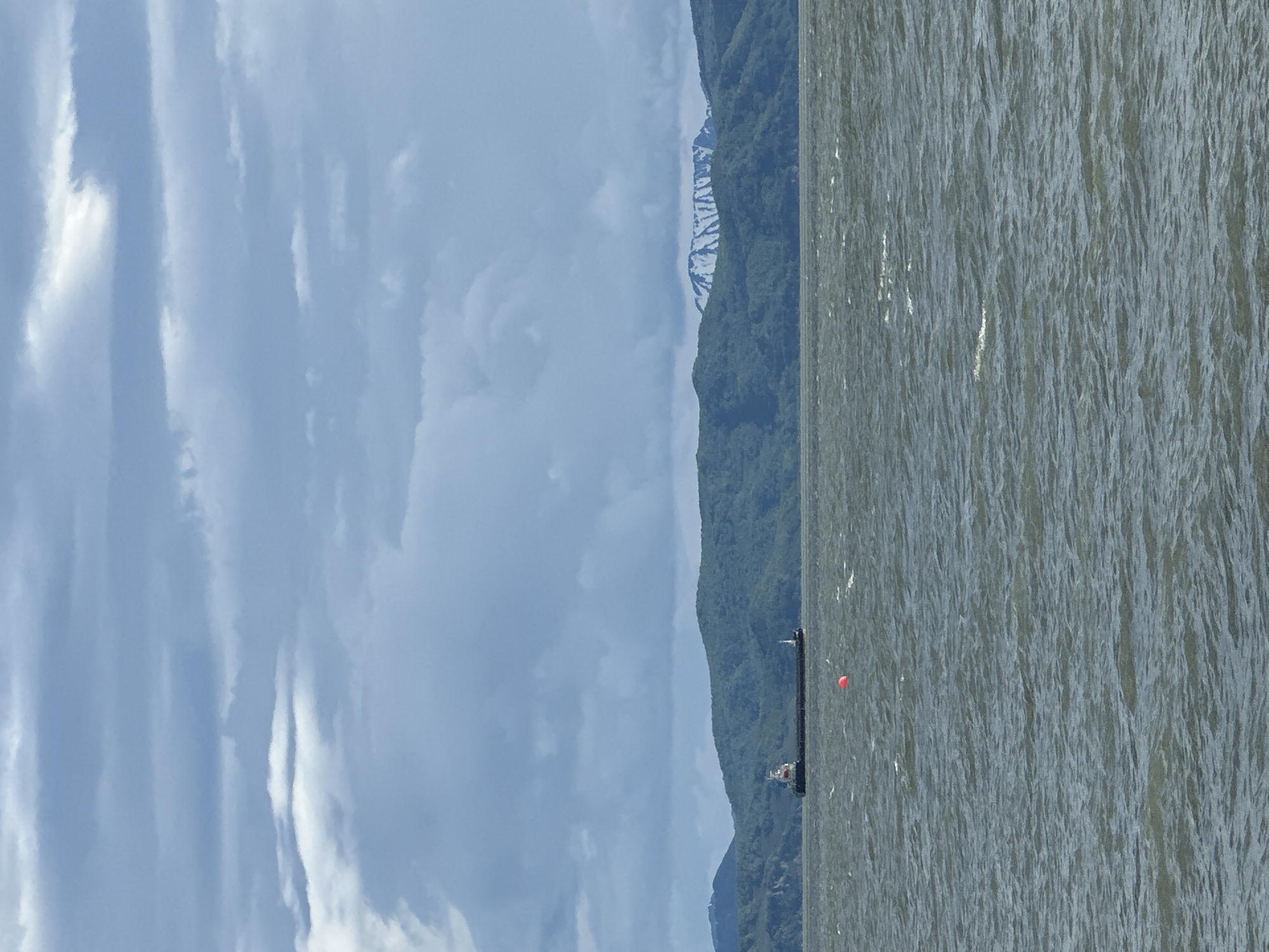 The image captures a wide view of the ocean under a cloudy sky. In the distance, a large cargo ship is visible sailing on the water. The ship is dark with a white superstructure at its stern. A small white structure, possibly a lighthouse or buoy, is also present near the ship. In the foreground, a red buoy floats on the choppy, greyish-blue water. Behind the water, a densely forested mountain range stretches across the horizon. A distant mountain peak in the center of the range is capped with snow, contrasting with the green of the lower slopes. The sky is filled with dramatic, greyish-blue clouds, suggesting overcast conditions. The scene is likely a coastal area of Petropavlovsk-Kamchatsky, Russia, given the presence of a major port city with access to volcanic landscapes and the sea.
