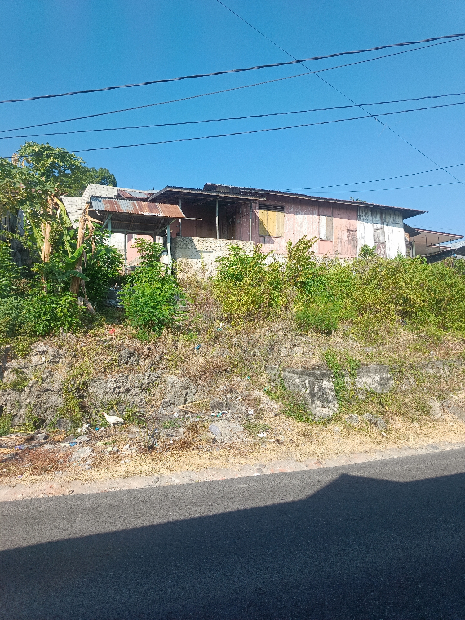 The image shows a weathered, multi-story building with a pink and white facade situated on a hillside. The building has a corrugated metal roof and appears to be in a state of disrepair, with peeling paint and boarded-up windows. Lush green vegetation, including banana trees, grows around the structure. A white chicken is visible on the rocky ground in front of the building, amidst scattered debris. The scene is illuminated by bright sunlight, casting a shadow on the asphalt road in the foreground. Overhead, power lines are visible against a clear blue sky. The overall impression is one of a rural or semi-rural setting, possibly in a tropical climate, consistent with locations like Gorontalo, Indonesia.