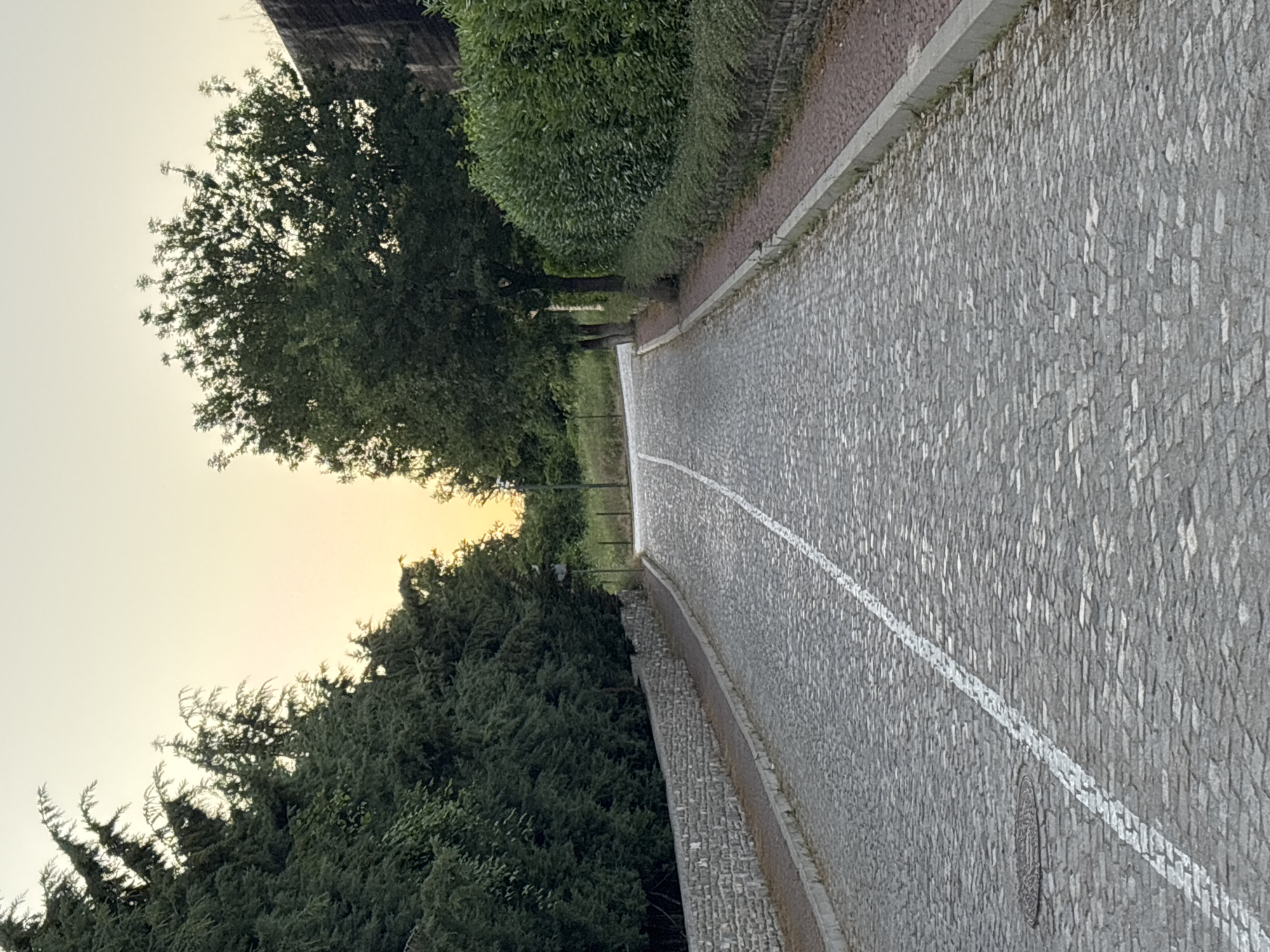 The image depicts an empty, curved cobblestone path lined with lush green trees and bushes. A white line runs along the center of the path, suggesting it might be a road or a designated walkway. The setting appears to be a park or a scenic route, possibly in Emona, Bulgaria, given the location context. The time of day is likely early morning or late evening, as indicated by the soft, warm glow of the sky. The weather seems calm and pleasant. There are no people visible in the frame, contributing to a sense of tranquility and solitude. The path curves gently to the right, disappearing into the distance, inviting exploration. The trees on the left side of the path are dense and verdant, creating a natural canopy, while the bushes on the right are neatly trimmed, suggesting a well-maintained area. The cobblestone texture of the path is detailed, with individual stones clearly visible, adding a rustic charm to the scene. A subtle shadow from an unseen structure is cast on the top left of the image, hinting at nearby architecture. The overall mood is peaceful and serene, evoking a sense of natural beauty and quietude.