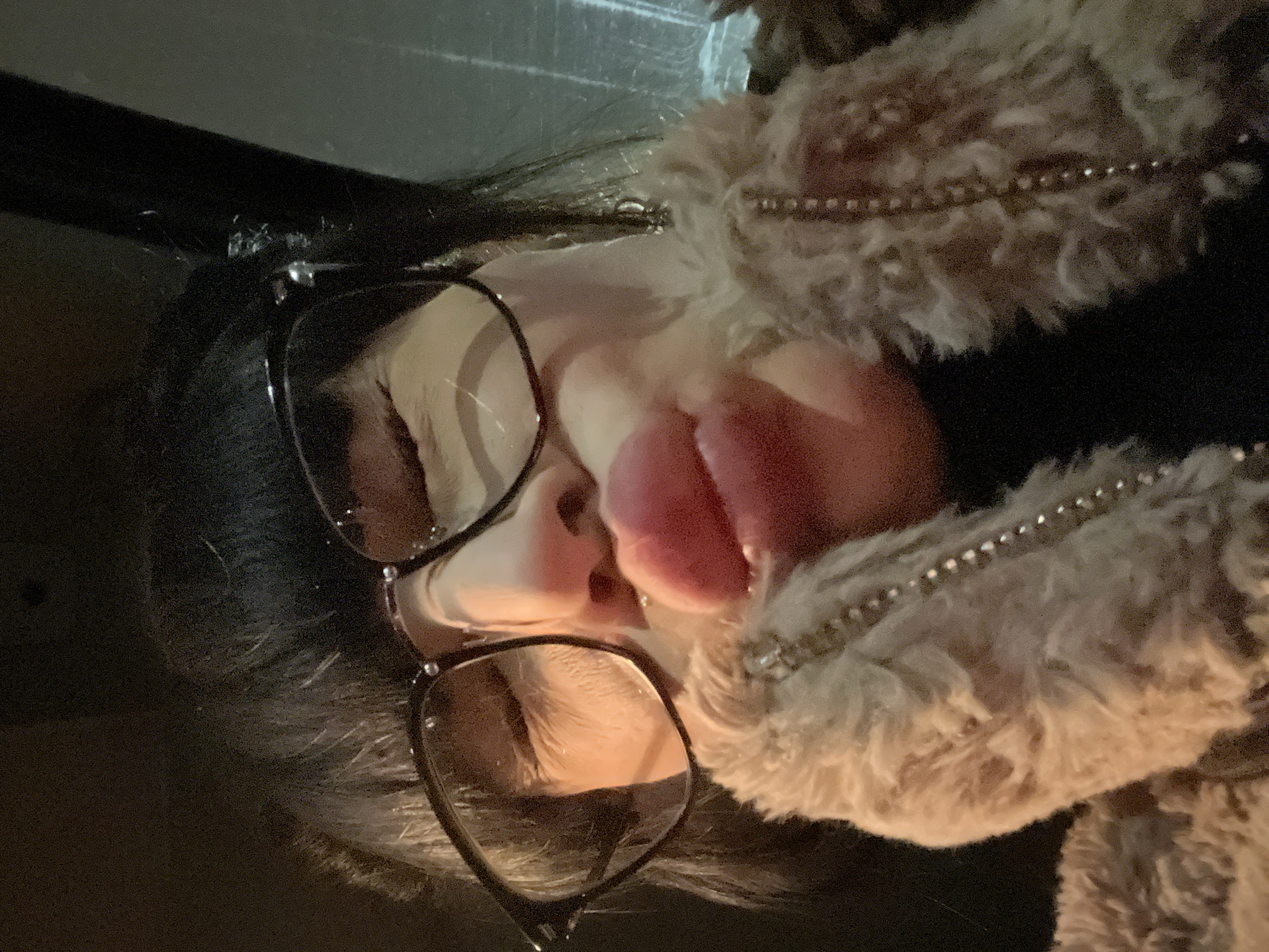 A person with dark hair and eyeglasses is seen in an indoor setting. The person is wearing a fuzzy, light-colored jacket with a decorative trim, possibly with metal or rhinestones. Part of the person's face, including the nose and a blurred portion of the lips, is visible between the glasses and the jacket. The background is dark and indistinct, with a hint of a flat surface behind the person. The exact location in Varna, Bulgaria, cannot be determined from this image.