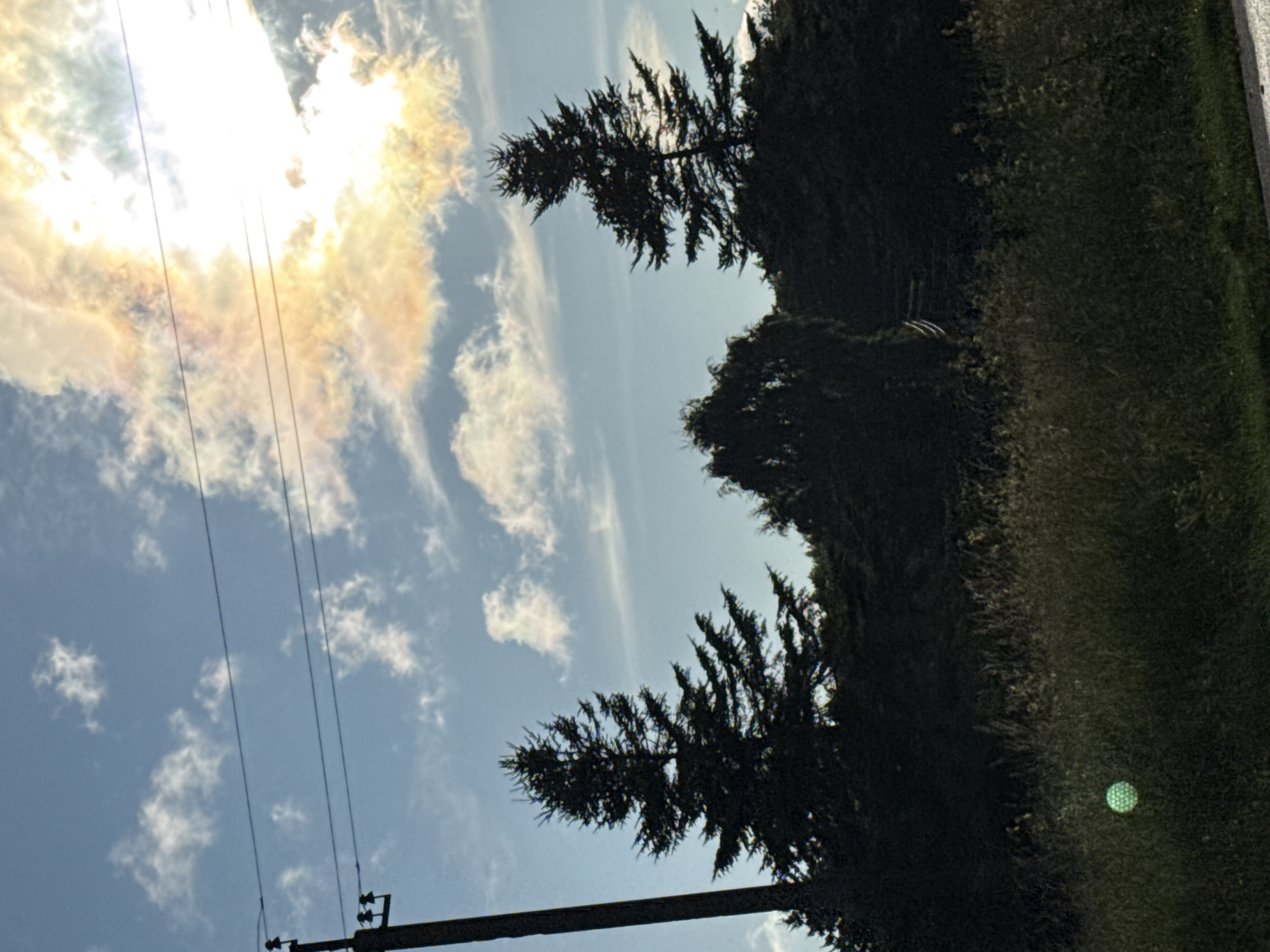 The image shows a silhouetted landscape featuring two tall pine trees and a lighter, bushier tree in the foreground. A wooden utility pole with insulators and power lines crosses the upper portion of the frame. The sky is blue with scattered white clouds, and the sun is brightly shining behind a large cloud formation, creating a halo effect with hints of orange and yellow. The lower part of the image is dominated by dark green foliage, tall grasses, and a faint, glowing green object in the grass. The scene is likely outdoors in a rural or suburban area, possibly Harkujärve, Estonia, given the presence of pine trees and utility poles which are common in Estonian landscapes. No people or specific actions are depicted.