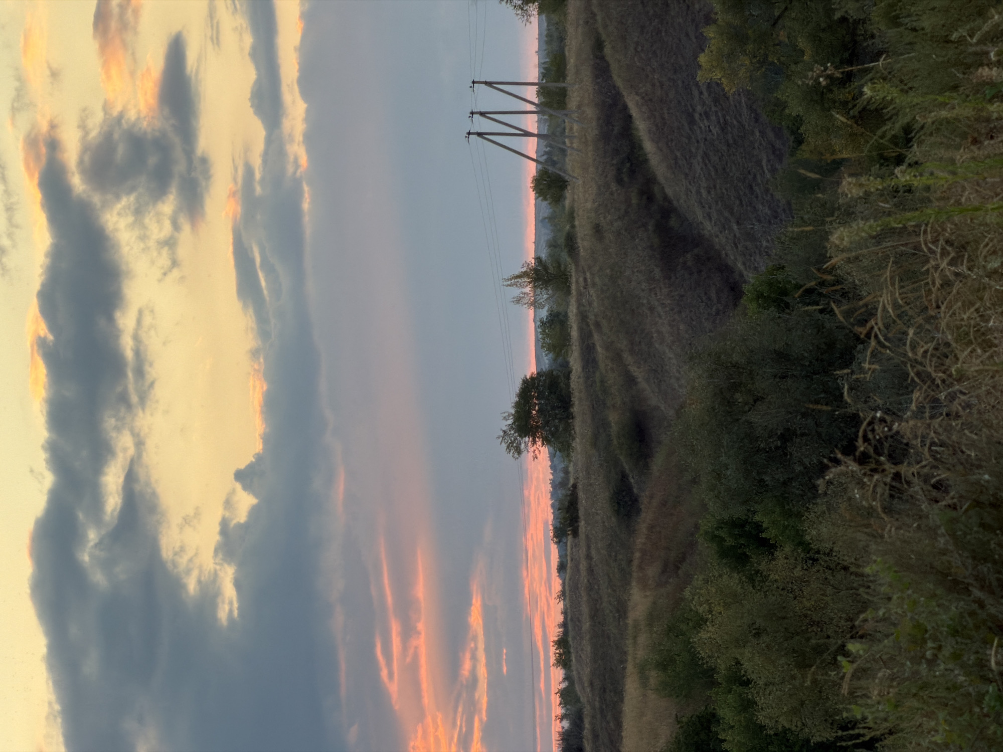 This is a vertical, eye-level, medium shot of a landscape at sunset in Nizhnyaya Lipovka, Russia. The sky is filled with dramatic clouds, transitioning from a pale yellow and orange near the horizon to shades of gray and blue higher up. A thin band of pink and orange light is visible just above the horizon, indicating the setting sun.
The foreground is dominated by rolling hills covered in dry, golden-brown grass. In the middle ground, there are scattered bushes and trees, some appearing greener and fuller than others, suggesting a mix of vegetation. Further in the distance, a line of trees forms the horizon, with a few power line poles and wires visible on the right side of the frame. The overall impression is one of a rural or semi-rural setting during a picturesque sunset. There are no people or animals visible in the image.