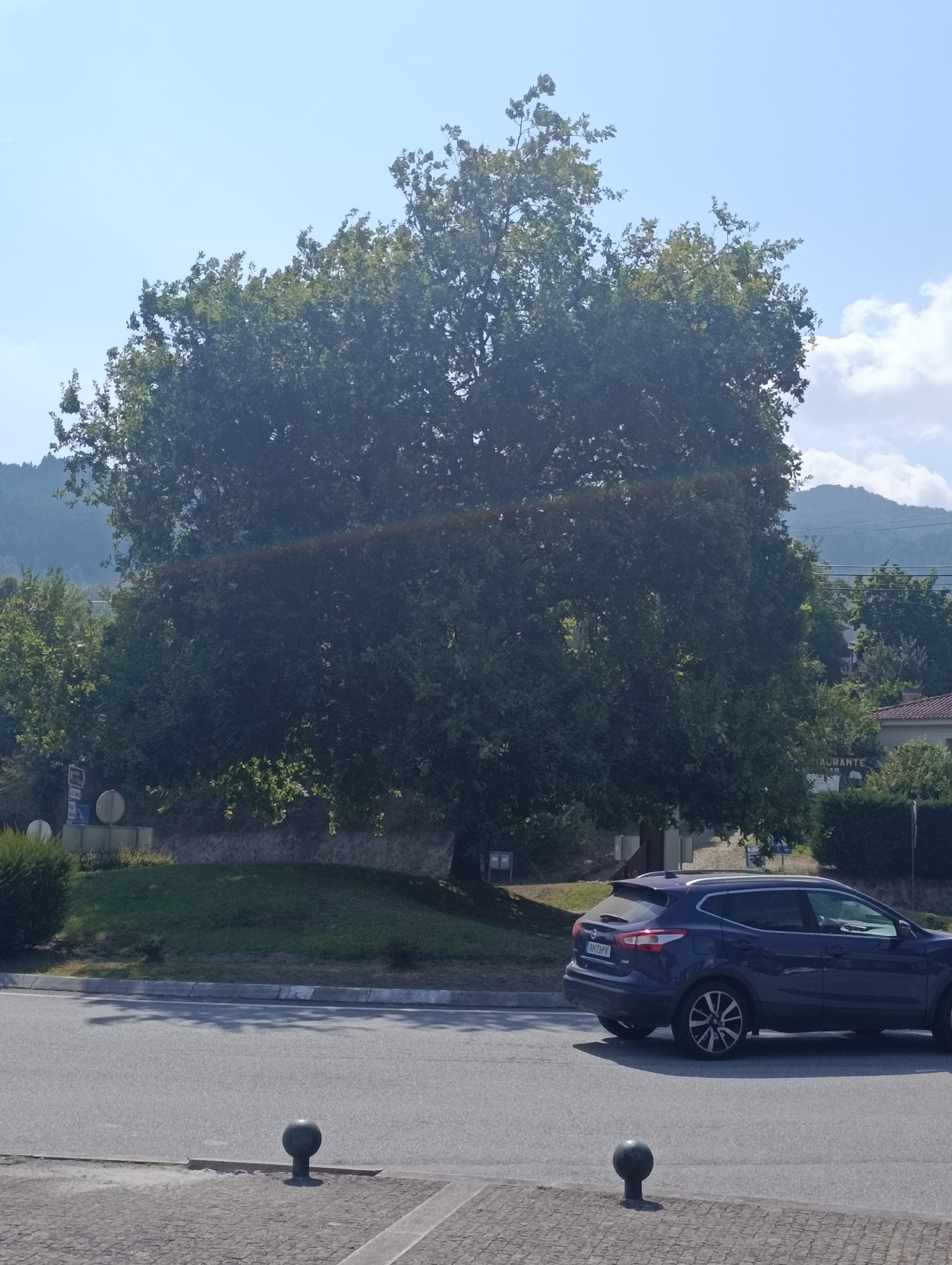 The image depicts a sunny daytime scene in Terras de Bouro, Portugal. A dark blue SUV is parked on the right side of a paved road. In the background, a large, mature tree with dense green foliage dominates the center of the frame. Behind the tree, there are more trees, a building with a tiled roof, and a sign that partially reads "URANTE." The landscape beyond includes rolling hills and mountains under a clear blue sky with scattered white clouds. The road in the foreground has a textured pavement and is bordered by a curb. There are two dark, spherical bollards on the paved area in the foreground.