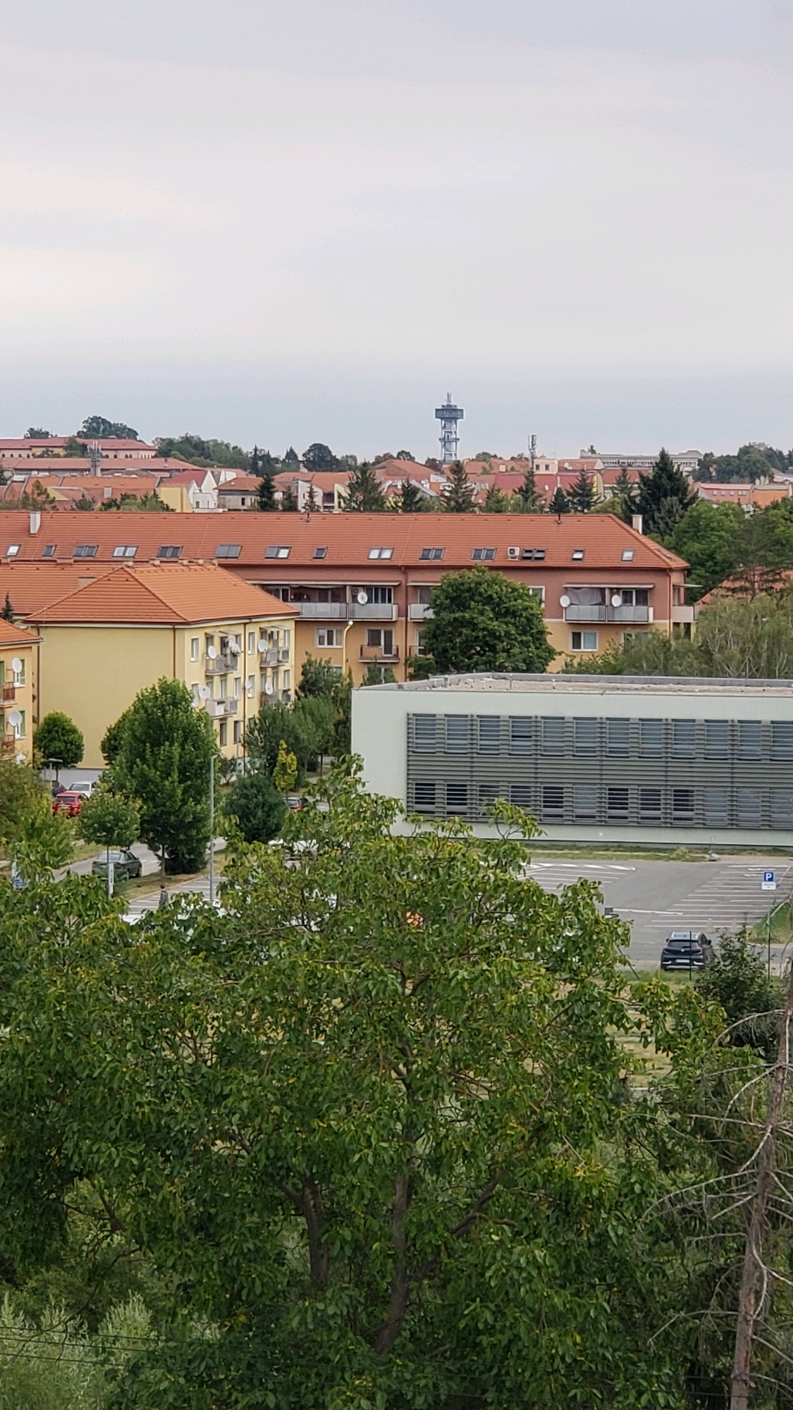 This is a medium-shot, eye-level, vertical, outdoor, daytime, slightly overcast photograph taken from a residential building overlooking a neighborhood in Prešov, Slovakia. The foreground is dominated by lush green trees, with a few bare, dead branches visible on the right side. Beyond the trees, a multi-story building with orange tile roofs is prominent, featuring numerous windows and balconies. To its left, a smaller yellow building with similar architectural elements is visible.
In the mid-ground, a modern, light-colored building with horizontal, slatted windows runs across the frame. In front of this building is a large, empty parking lot. A dark-colored car is parked on the right side of the lot, and a blue parking sign with a white 'P' is visible next to it. A person is walking on the sidewalk in the distance, in front of a street.
In the background, a collection of buildings with orange roofs continues, interspersed with trees and vegetation. A tall, lattice-like communication tower with a structure at its top stands prominently on the horizon, towards the left of the frame. The sky is a pale, uniform gray, indicating overcast conditions. The overall scene depicts a residential area with modern and older architectural styles, surrounded by abundant greenery, under a cloudy sky.