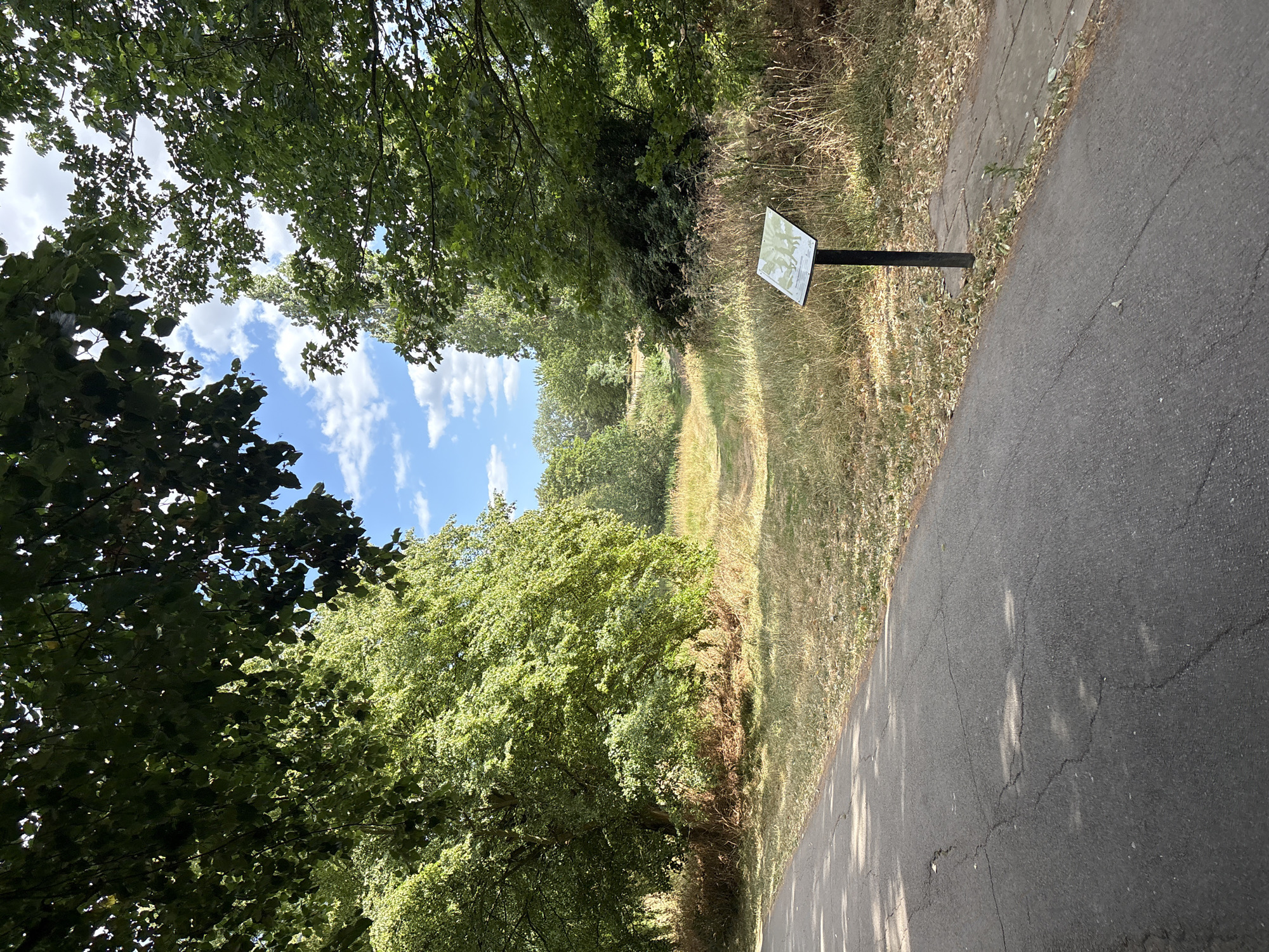 This image captures a scenic pathway bordered by lush green trees on the left and dry grass and a paved walkway on the right. The pathway appears to be a rural trail, perhaps a walking or cycling path, winding through a verdant landscape under a bright, partly cloudy sky. Sunlight filters through the leaves of the trees, casting dappled shadows on the paved surface.
A signpost stands beside the path, displaying what appears to be a map or informational graphic. The vegetation suggests a warm, possibly late summer or early autumn day, with some foliage already showing signs of drying. The overall atmosphere is serene and inviting, evoking a sense of peaceful outdoor exploration.
The image appears to be taken at eye-level, looking down the path. The natural beauty of the trees and the clear blue sky with white clouds contribute to a pleasant, tranquil scene. The cracked pavement suggests this is an established, well-used path. The location is likely a park or nature reserve within Chelmsford, United Kingdom, given the context. There is no discernible activity or event taking place other than the implication of someone having taken the photograph.