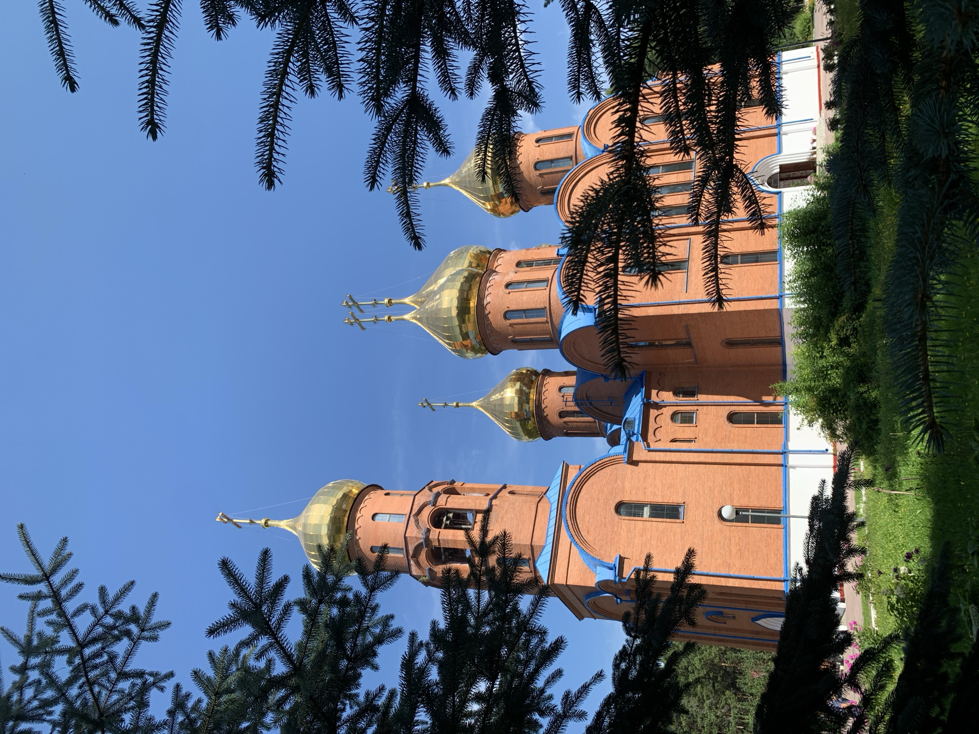 This is a low-angle, full shot of the Church of the Resurrection in Prokopyevsk, Russia, captured on a clear, sunny day. The church is constructed of red brick and features several golden domes, each topped with a cross. Blue trim accents the roofline and architectural details of the building. A tall bell tower is visible on the left side of the church. The foreground is dominated by the dark green branches of pine trees, which frame the view of the church. In the background, there are lush green trees and a bright blue sky. There are no people visible in the image.