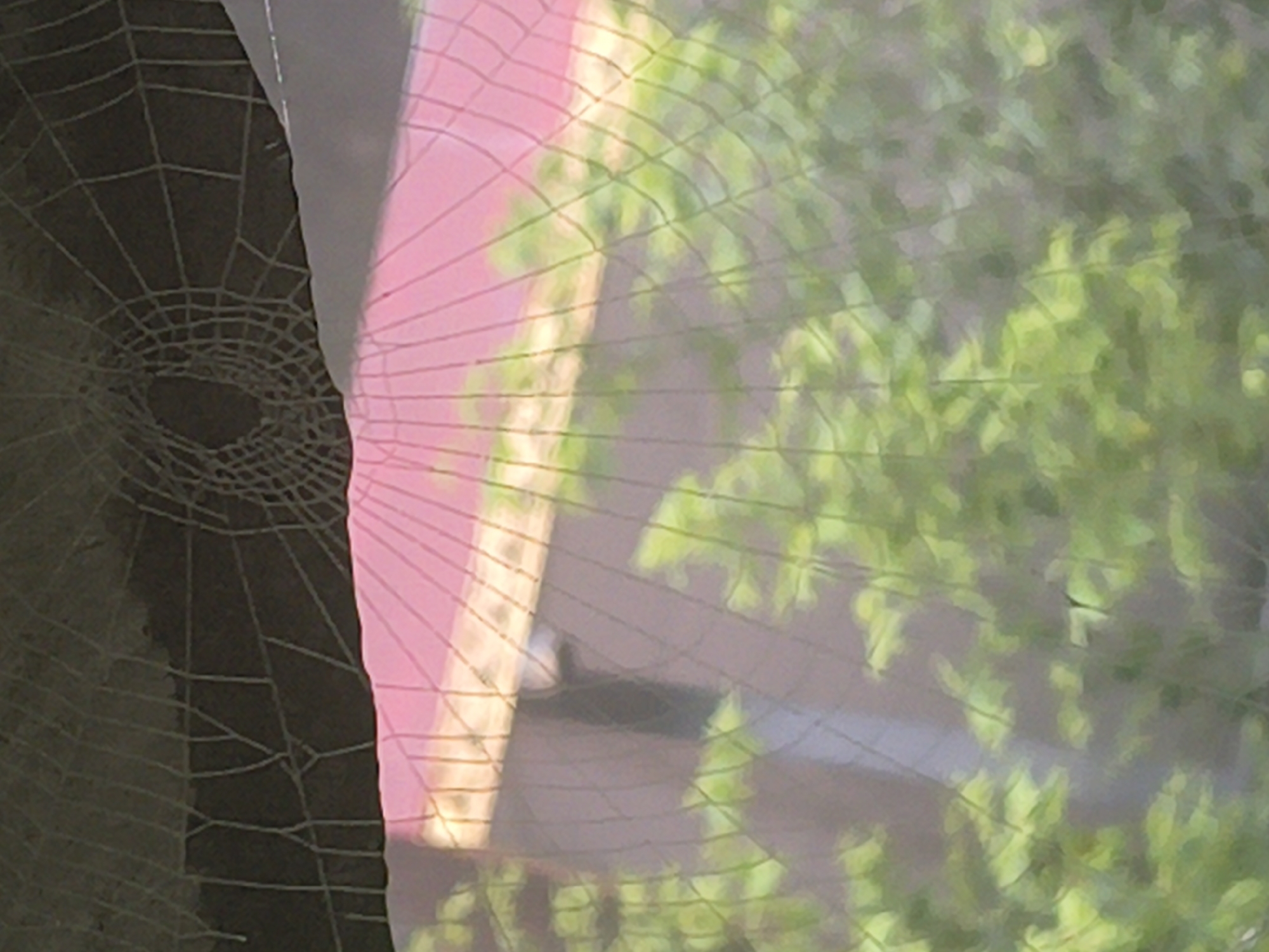 The image depicts a close-up view of a spiderweb, with a blurred background suggesting an outdoor environment. The spiderweb is intricate and occupies a significant portion of the frame, appearing to be stretched across a dark, possibly rough surface at the top. Below the web, a pinkish-red surface is visible, possibly a roof or awning, with a light-colored band running across it. Further down, out-of-focus green foliage suggests trees or bushes. The lighting appears to be natural, indicating daytime. There are no people or discernible actions taking place. The image does not contain any specific visual elements that would allow for the identification of its location within Haini, India.