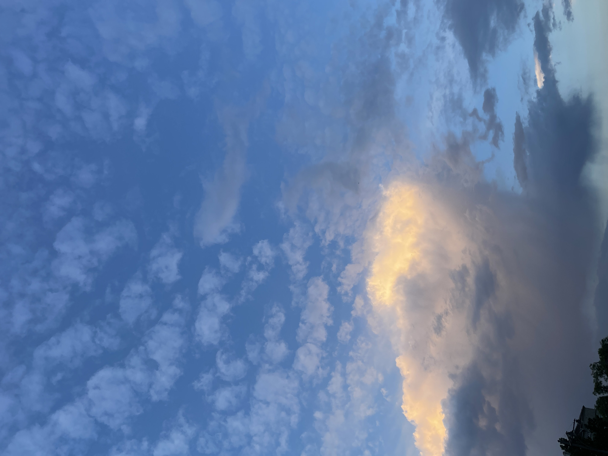 The image displays a dynamic and colorful sky, likely captured during late afternoon or early evening over Sofia, Bulgaria. The scene is dominated by a vast expanse of clouds against a blue sky, with varying cloud formations and lighting.
On the left side of the frame, the sky is a clear, medium blue, adorned with numerous small, scattered white clouds that resemble altocumulus or stratocumulus patterns. These clouds are evenly distributed, creating a textured, almost rippled appearance. As the gaze moves towards the right, the sky transitions to deeper blues and grays.
A prominent feature is a large mass of darker, heavier clouds on the right, which show significant golden and warm yellow illumination along their edges. This golden glow suggests the sun is low on the horizon, casting its light onto these clouds, creating a dramatic contrast with their darker, shadowed undersides. This contrast between the brightly lit clouds and the more subdued blue and grey areas hints at either sunrise or, more likely given the darker cloud mass, sunset.
In the bottom right corner, a small section of an urban or suburban environment is visible, including the dark silhouettes of treetops and what appears to be part of a building or structure. There are no identifiable people or specific activities taking place. The overall impression is one of natural beauty and changing atmospheric conditions. No text is visible in the media file.