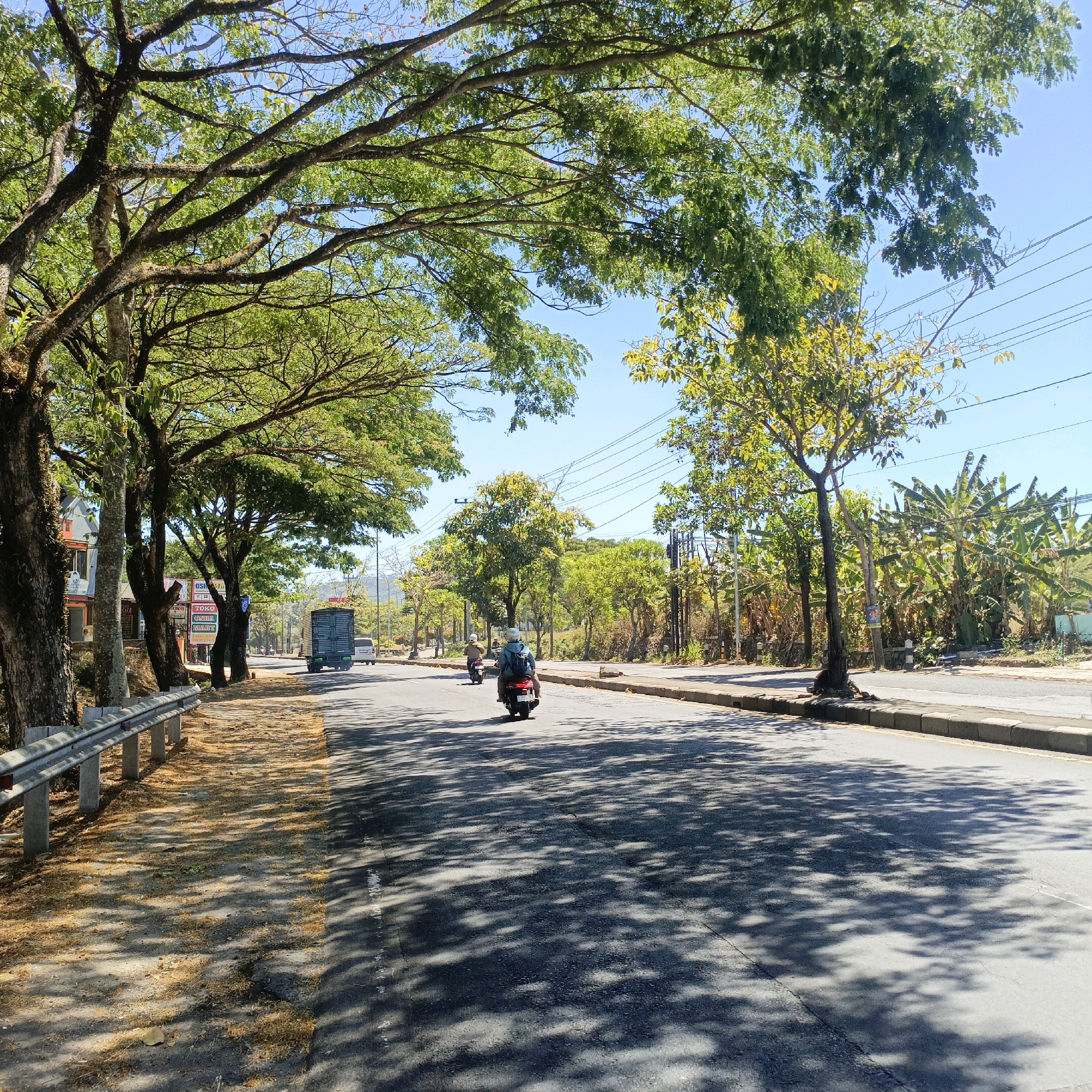The image depicts a sun-drenched road in Salatiga, Indonesia, lined with mature trees that cast dappled shadows across the asphalt. In the foreground, a metal guardrail separates the road from a dusty verge littered with dry leaves. Further down the road, two motorcycles are visible. The rider of the motorcycle in the foreground is wearing a blue backpack and a light-colored helmet. A truck with a dark green cargo bed is parked on the side of the road. In the background, lush green vegetation, including banana trees, thrives under the bright blue sky. Buildings are visible on the left side of the road, with some storefronts displaying signage. Overhead power lines crisscross the sky. The overall scene suggests a typical day in a tropical urban environment.