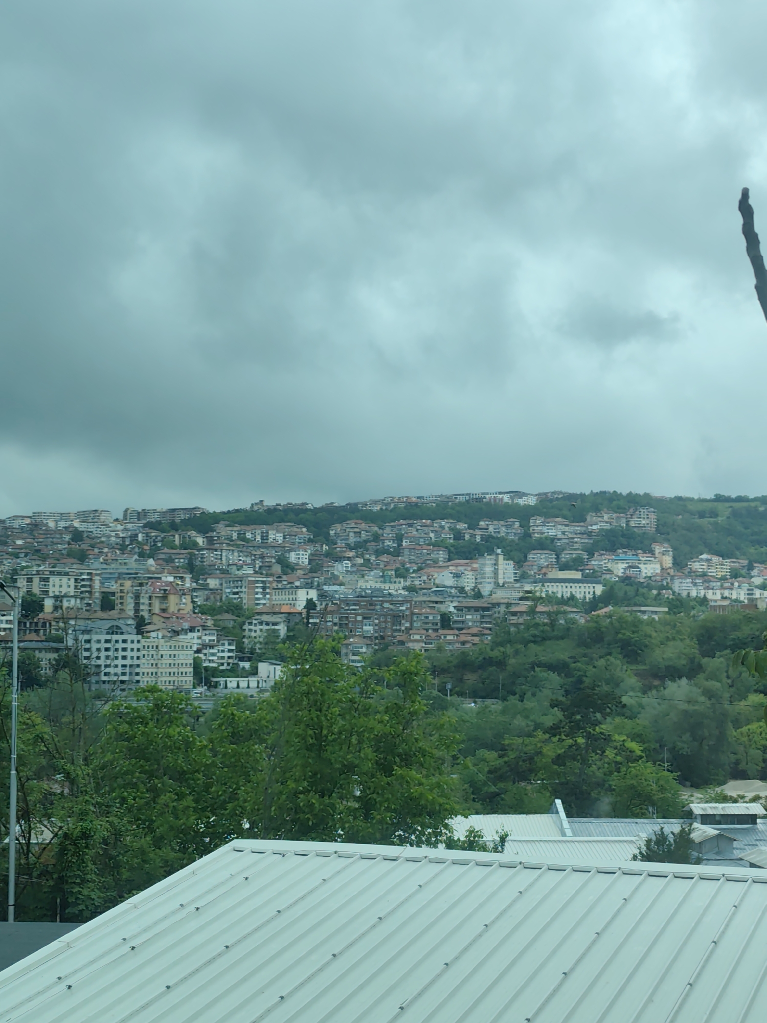 The image shows a hillside city under a cloudy sky. The city is densely populated with buildings, mostly residential, ranging in height from a few stories to high-rise apartments. Many buildings have orange or red tile roofs. The city ascends a hill covered with green trees and vegetation, blending urban development with natural elements. The foreground features the corrugated metal roof of a building, with green trees partially obscuring the view. The overall color palette is muted due to the overcast weather. A vertical, dark object that appears to be a tree branch is visible at the right edge of the frame. The location is Unknown, Unknown.