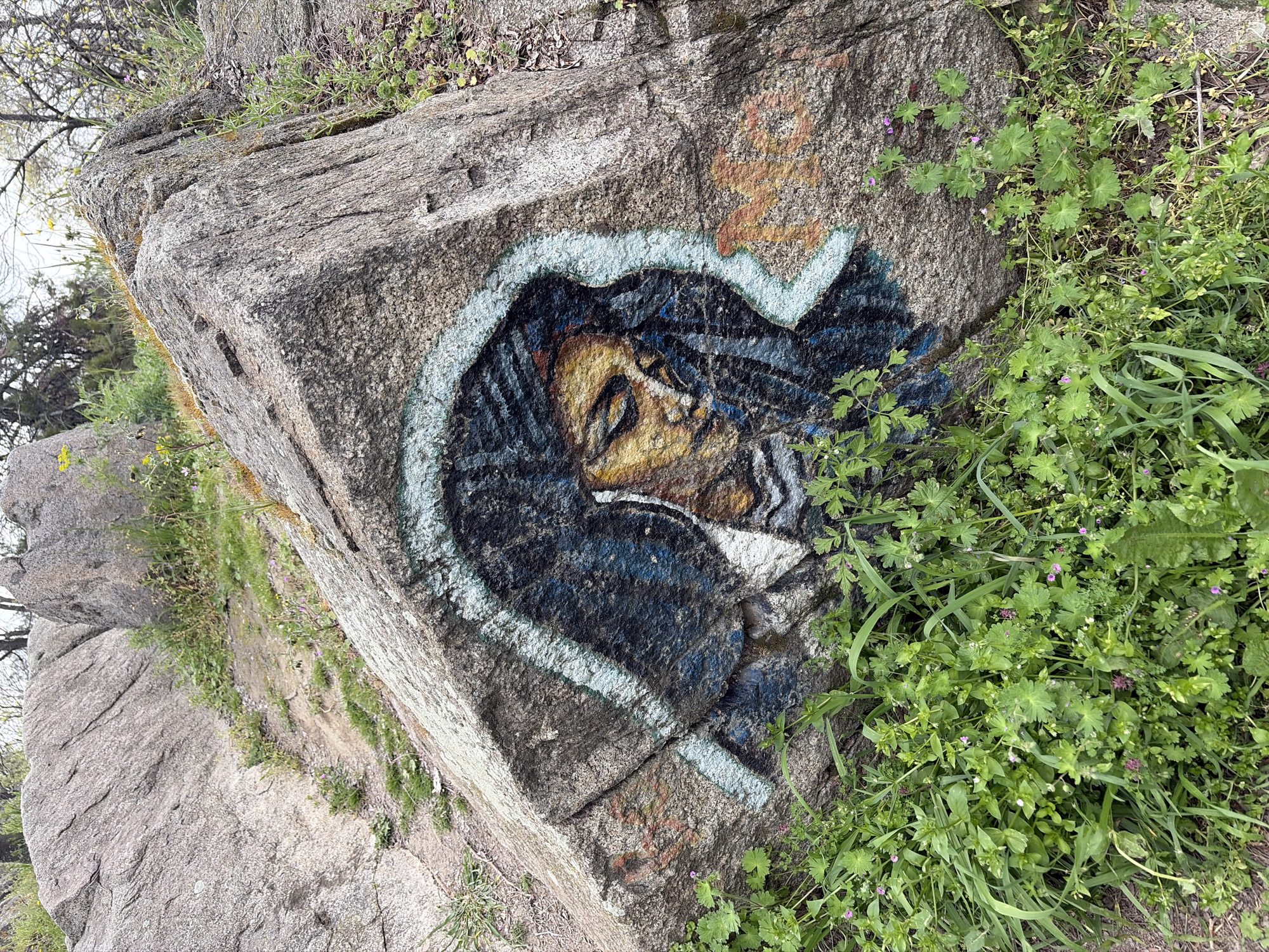 A section of a large, rough-hewn, light gray rock is visible. On the rock's surface, there's graffiti art, depicting a face in profile, enclosed within a light blue or white, wavy outline. The face is colored with yellow, brown, and black. The background of the face's profile is painted in shades of blue and black. Green vegetation and weeds grow around and beside the rock.
The location is Plovdiv, Bulgaria.