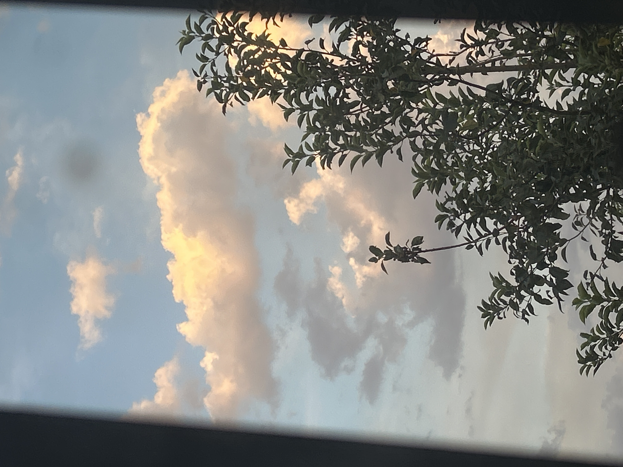 The image depicts a sky filled with clouds, illuminated by what appears to be sunset or sunrise light, casting a warm glow on some of the cloud formations. The lower right portion of the image features the dark silhouette of tree branches with green leaves, obscuring a portion of the sky. The left side of the image is dominated by a dark, vertical frame, possibly a window or doorway, which further frames the sky and tree. The overall scene suggests an outdoor view from a building or enclosed space. There are no people or specific landmarks visible that would indicate a precise location within Boraldai, Kazakhstan.