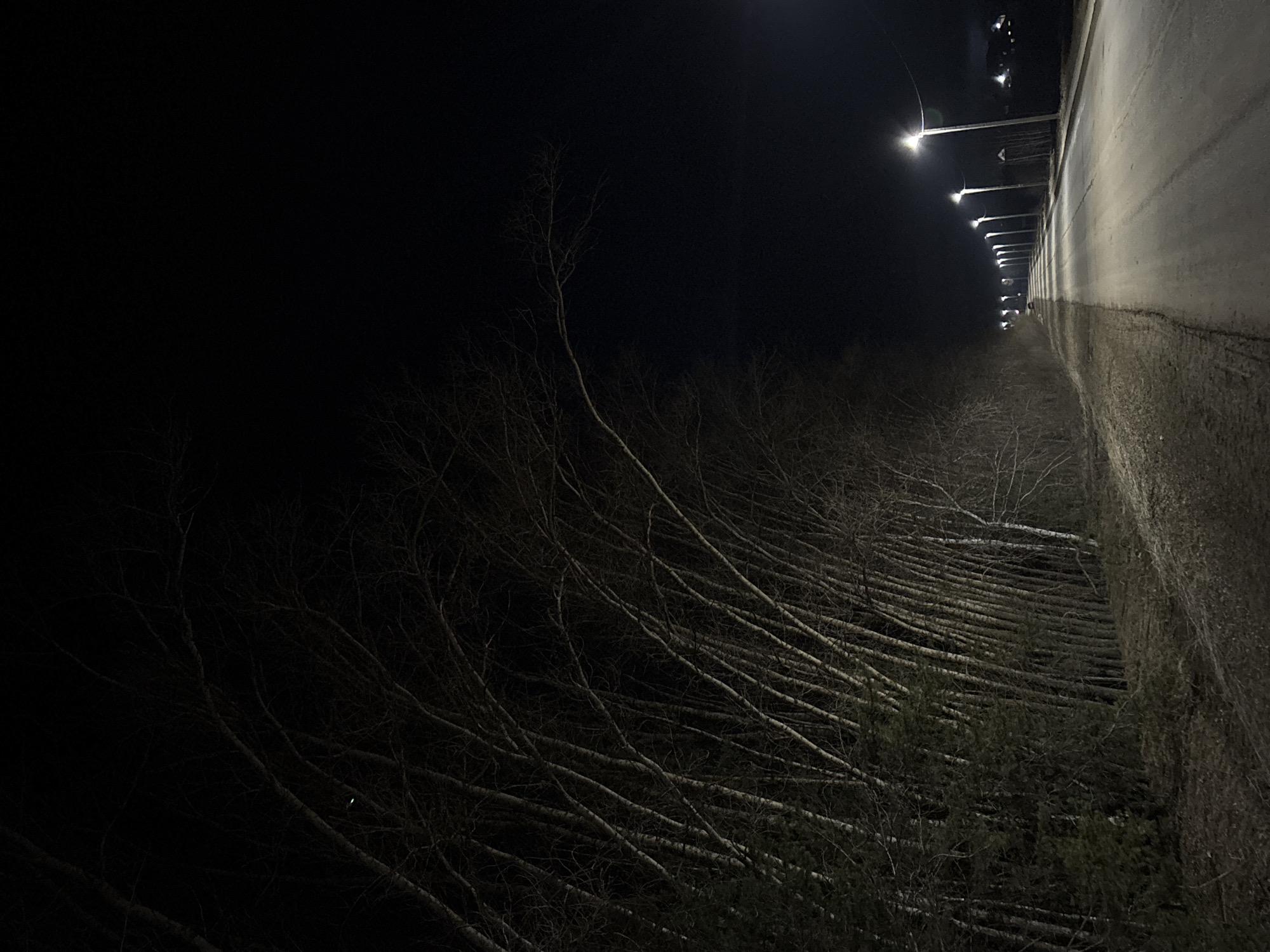 The image shows a dark, outdoor scene taken at night. On the right side is a high concrete wall with a row of lights running along the top of it. The lights are emitting a soft glow. Below the wall and stretching into the darkness are numerous slender, leafless trees and shrubs. The vegetation appears to be growing densely. The overall impression is one of a dark, somewhat desolate location. The location is not indicated.