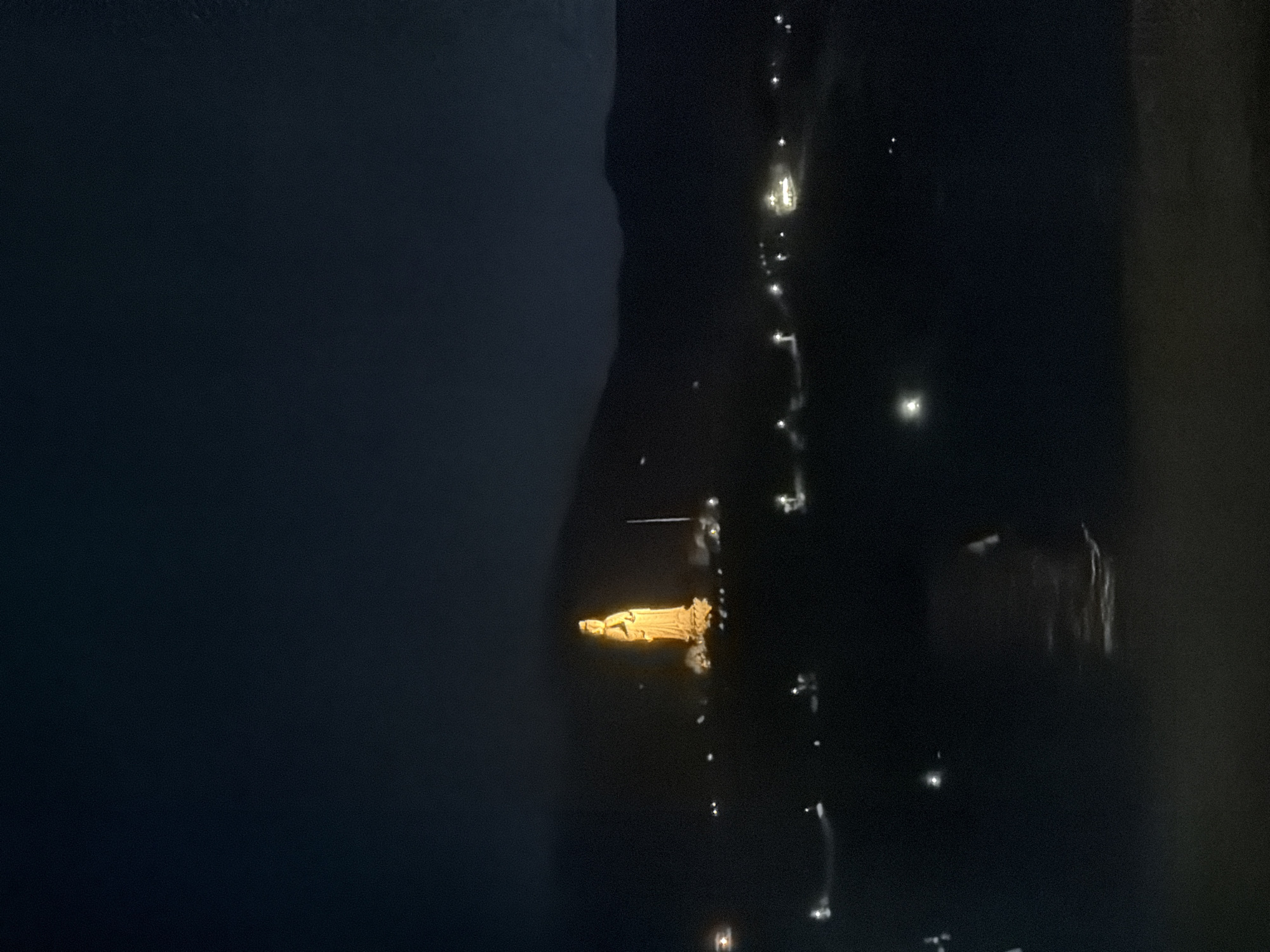 The image shows a view at night from an elevated position looking down on the city of Da Nang, Vietnam. The dark area on the left is likely water. Illuminated in the center is the Dragon Bridge, a bridge in Da Nang with a large dragon statue on top that emits fire and water, which is a local attraction. Lights follow the path of the bridge. The surrounding area is dark with scattered points of light, which are presumably city lights. The image is poorly lit and grainy.