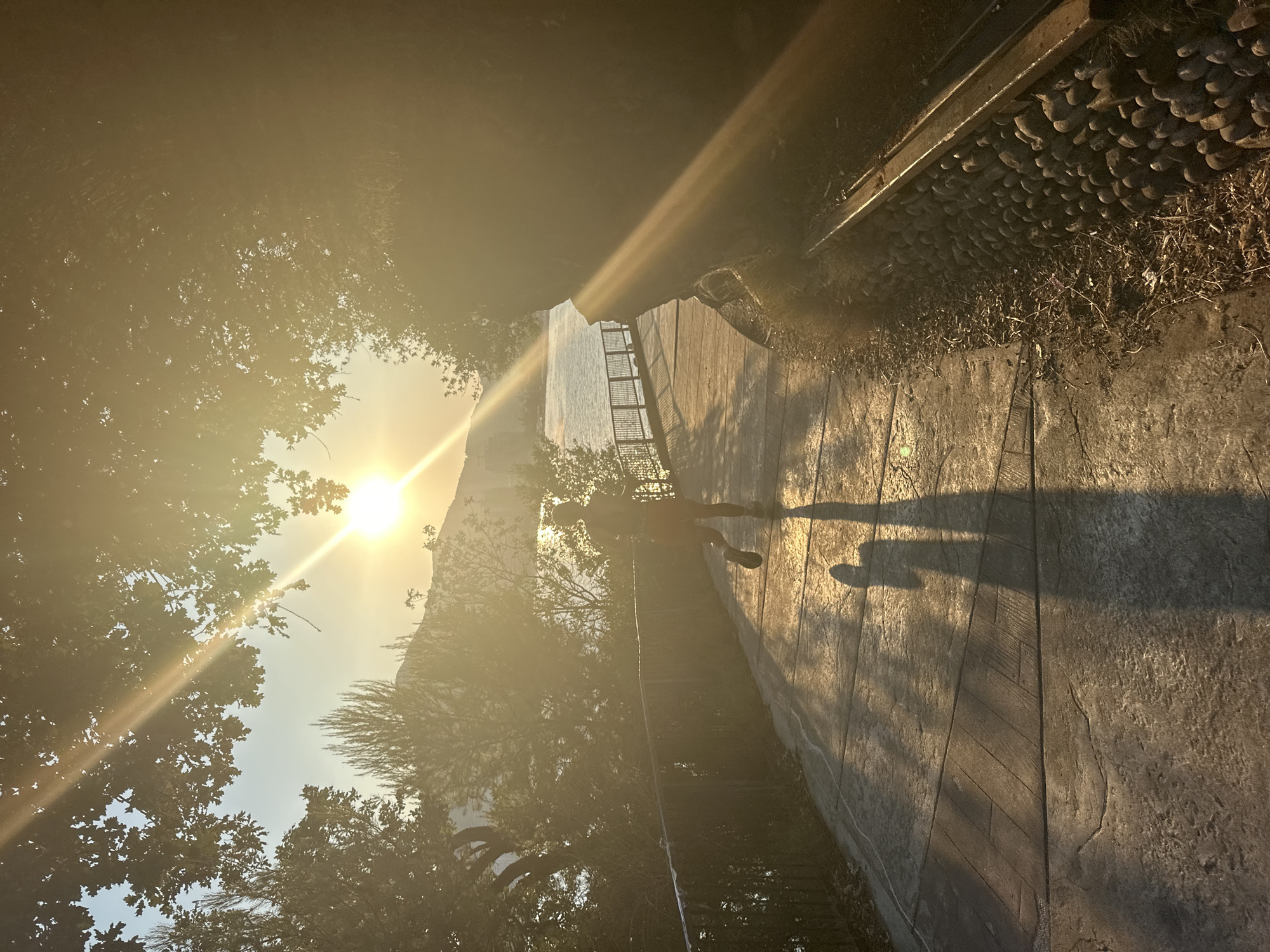 A lone figure is captured mid-stride, running along a paved pathway that curves gently beside a body of water. The setting sun, a brilliant orb of light, casts long shadows across the path and bathes the scene in a warm, golden glow. The sun's rays pierce through the leaves of overhanging trees, creating a dappled effect and lens flares.
The pathway is bordered by a low metal railing on the left, separating it from the water. Beyond the water, a distant shoreline is visible, with buildings and hills silhouetted against the bright sky. To the right of the path, a rocky embankment is visible, partially overgrown with dry vegetation and leaves. The paving stones of the pathway are textured and appear to have been stamped with a pattern.
The runner, whose gender is indiscernible due to their silhouette, is wearing athletic attire, including shorts and a top. Their shadow stretches long and distorted on the path ahead of them. The overall atmosphere of the image is serene and invigorating, suggesting a moment of peaceful exercise amidst a beautiful natural setting.
This scene is likely located along the promenade in Budva, Montenegro, a popular coastal town known for its picturesque seaside paths, historical architecture, and stunning sunset views over the Adriatic Sea.