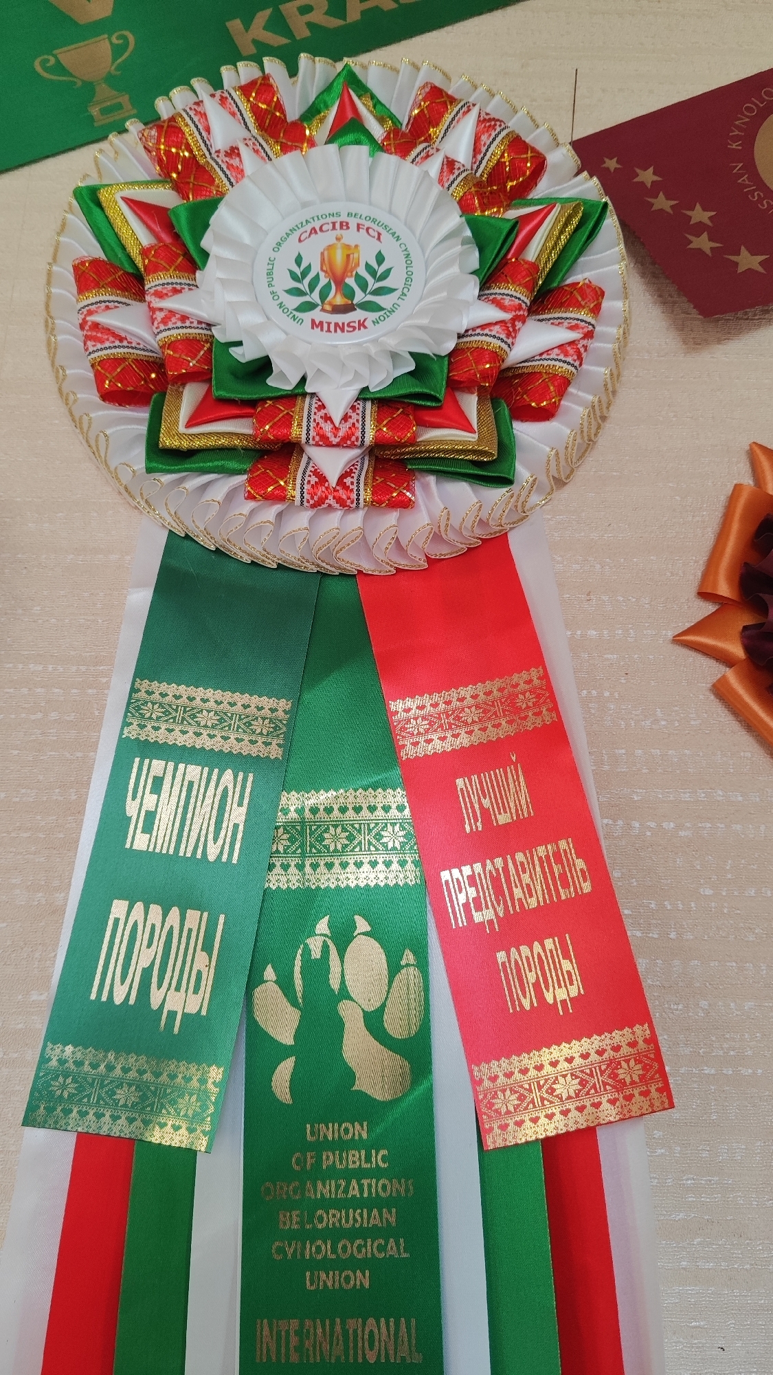 The image shows a close-up of a rosette award, likely for a dog show or competition. The award is made of white, green, and red ribbons with gold lettering and trim. The central part of the rosette features a circular emblem with the text "CACIB FCI", a trophy graphic, and "MINSK". Dangling from the rosette are several ribbons. The leftmost ribbon is green with gold lettering that reads "ЧЕМПИОН ПОРОДЫ" (Champion of Breed). The middle ribbon is also green, featuring gold paw prints and text that says "UNION OF PUBLIC ORGANIZATIONS BELORUSIAN CYNOLOGICAL UNION INTERNATIONAL". The rightmost ribbon is red with gold lettering that reads "ЛУЧШИЙ ПРЕДСТАВИТЕЛЬ ПОРОДЫ" (Best Representative of Breed). The background appears to be a light-colored, textured surface, possibly a table. Additional awards or certificates, one red with gold stars, and parts of green and red ribbons are visible in the background. The image does not contain any information or context that would place it in the city of Sochi, Russia.