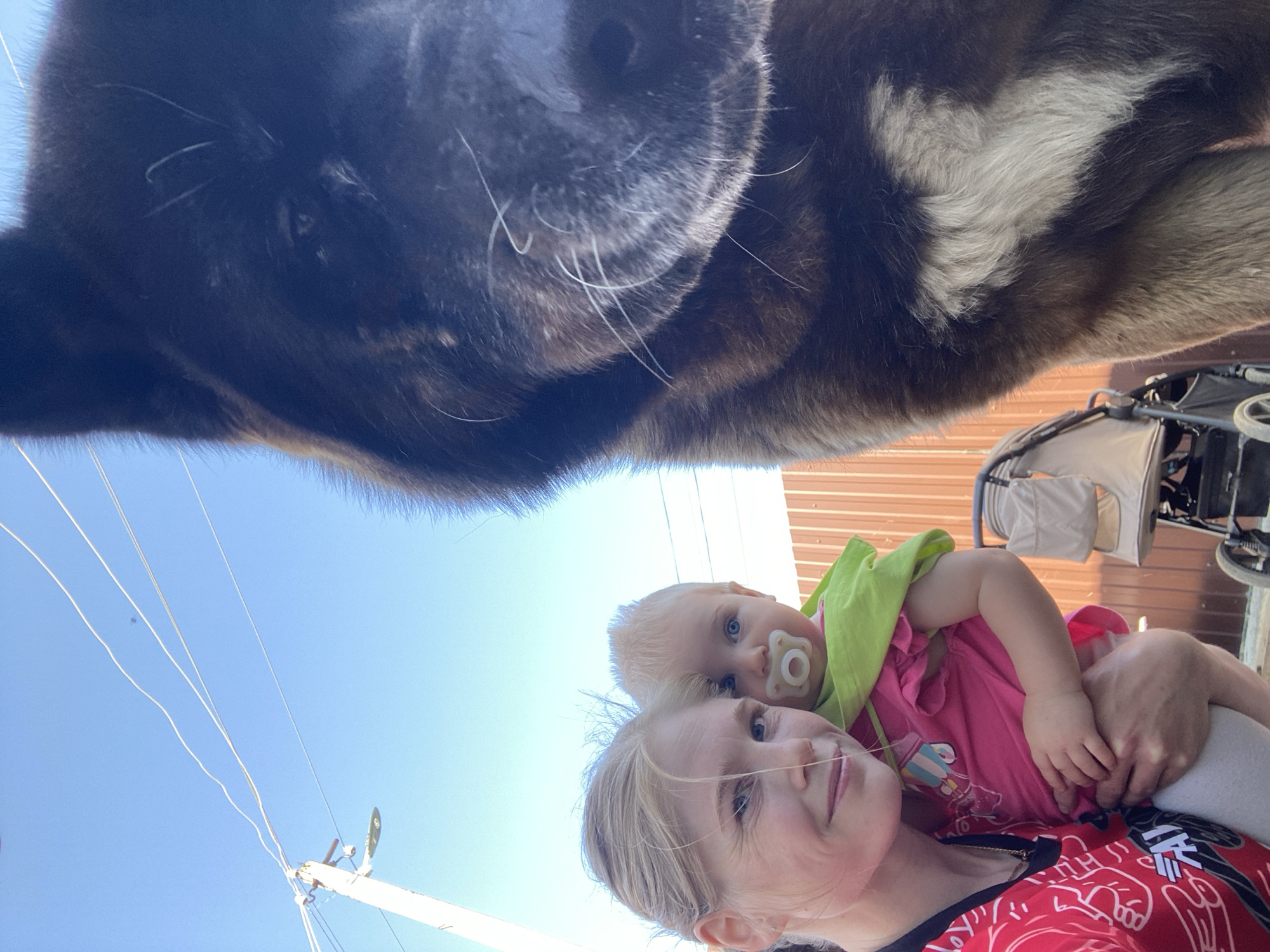 A woman and a baby are taking a selfie in Кукуи, Russia, while a large dog leans into the frame from above. The woman has blonde hair and is wearing a red and black patterned shirt. The baby, who is being held by the woman, is wearing a pink shirt and has a pacifier in their mouth. A green cloth is draped over the baby's shoulder. The dog is a large, dark-furred breed with some white markings. Overhead power lines run across a clear blue sky in the background. Partially visible behind the woman and child is a closed baby stroller in front of a tan building.