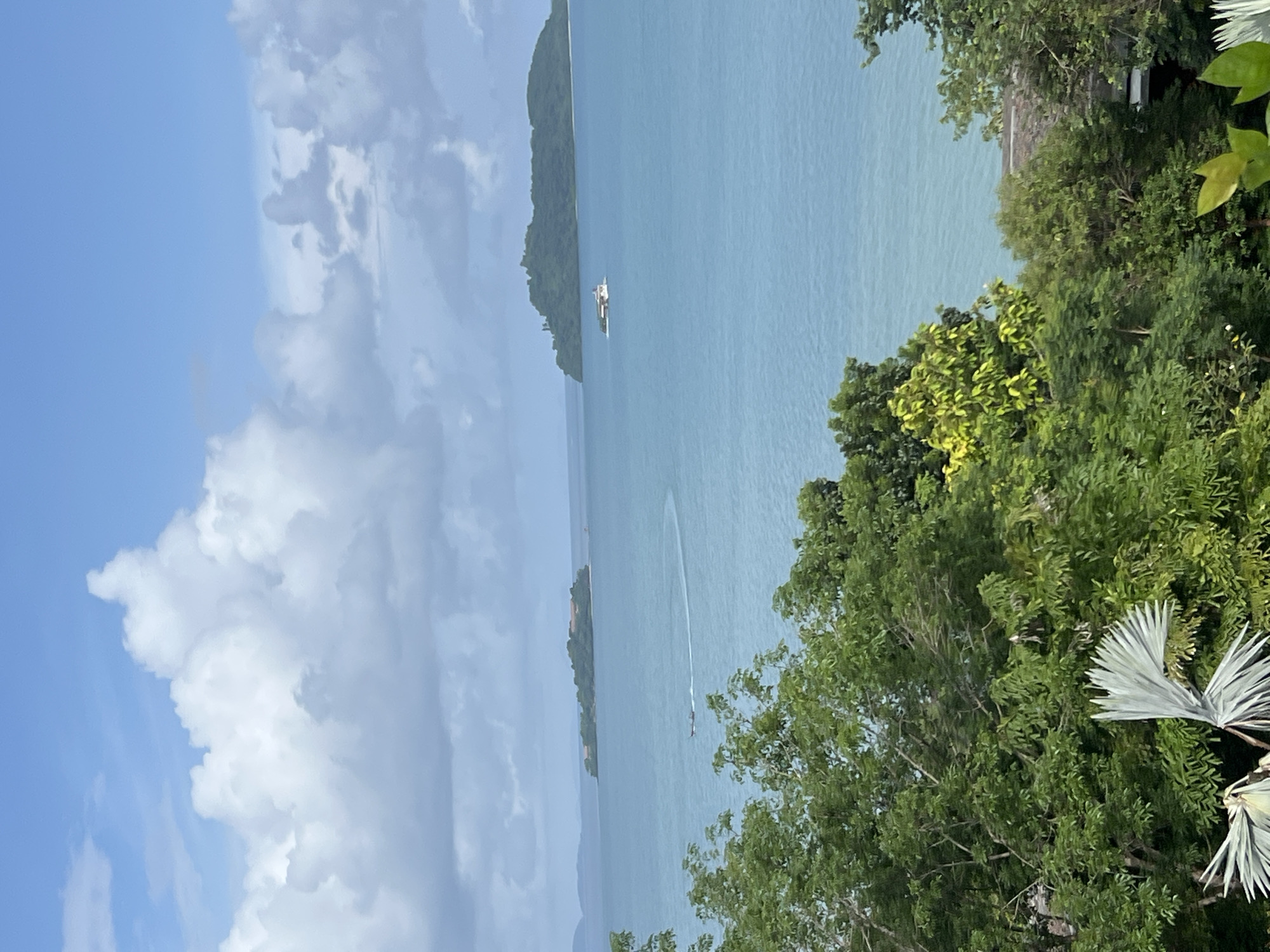 A high-angle, full shot captures a serene seascape in Pa Khlok, Thailand. In the foreground, lush green trees and foliage dominate, with a striking fan palm in the lower left. Beyond the trees, the turquoise sea stretches to the horizon, dotted with two distant islands. The island on the left appears to have buildings nestled amongst its trees, while the island on the right is more uniformly green and mountainous. A small boat with a white hull and a red roof is visible in the middle distance, traversing the water. A larger white vessel, possibly a ferry or a cruise ship, is closer to the right island. The sky above is a bright blue, interspersed with fluffy white clouds. The overall scene evokes a sense of tropical tranquility and natural beauty.
