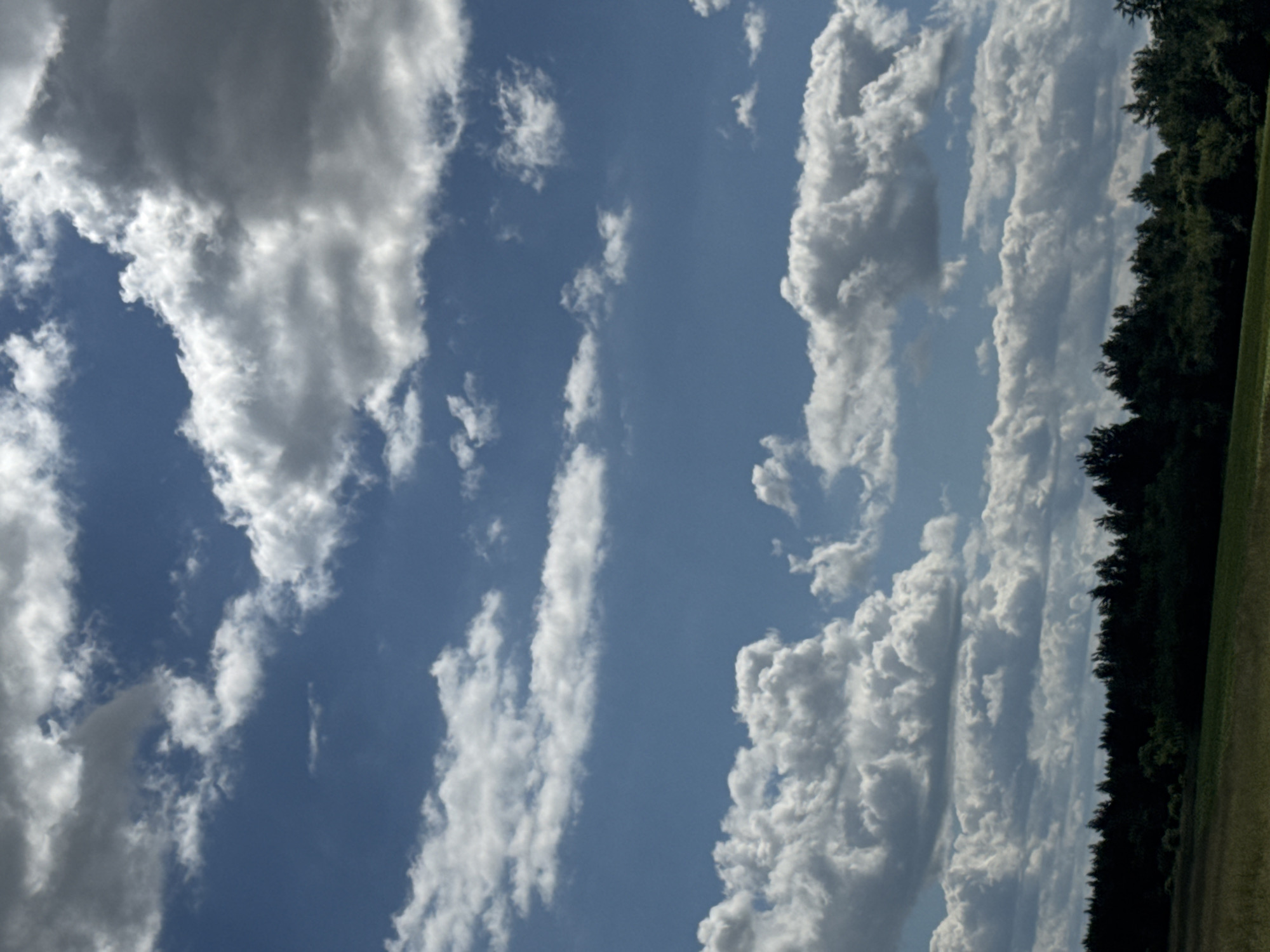 The image shows a cloudy sky over a forest and a field. The sky is a vibrant blue with various types of clouds, ranging from wispy cirrus clouds to large, puffy cumulus clouds. Some of the cumulus clouds are dark and appear to be heavy with rain, while others are bright white and illuminated by the sun. The clouds are diverse in shape and size, creating a dynamic and visually interesting sky.
Below the sky is a dense line of trees that forms a dark silhouette against the lighter sky. The trees are a mix of deciduous and coniferous species, with some taller trees interspersed among shorter ones. The forest appears to be at the edge of a large, open field.
In the foreground, there is a field covered in grass and some other low-lying vegetation. The field is mostly green, but there are some patches of drier, yellowish grass, indicating a transition in the terrain or vegetation. The overall scene suggests a natural landscape, possibly in a rural area. The weather appears to be partly cloudy, with the possibility of rain.
Based on the provided information, this scene is located in the Акцябрскі сельскі Савет, Belarus. The image captures a segment of the natural environment of this rural area, characterized by its open fields and extensive forest cover, under a dramatic sky.