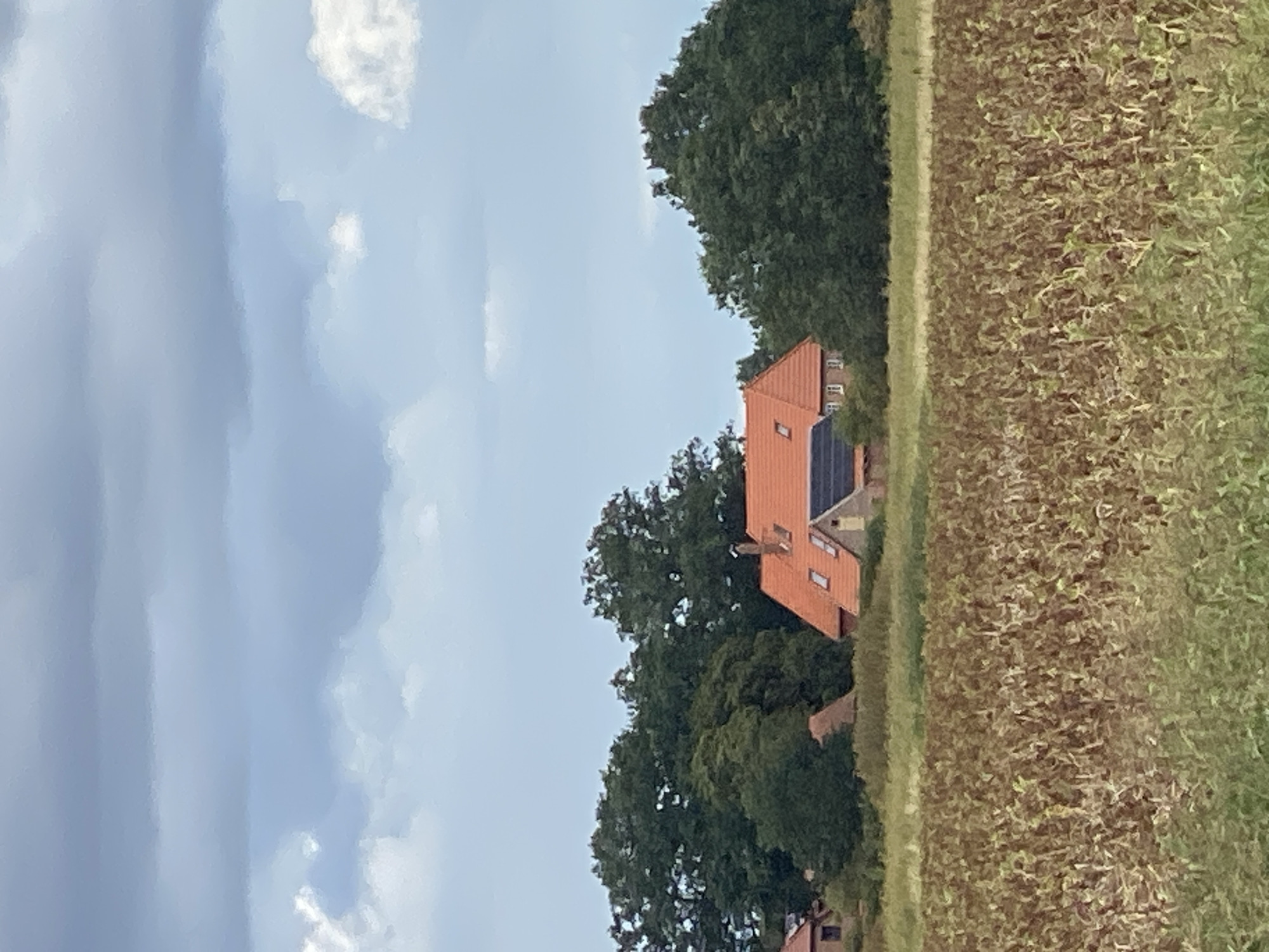 The image depicts a rural landscape near Schwarme, Germany, on a partly cloudy day. In the foreground, a field of dry, brown crops, possibly cornstalks, stretches across the scene. A strip of green grass borders the field. Behind the field, a cluster of large, mature trees with dark green foliage forms a dense backdrop.
Nestled within the trees are several buildings. The most prominent is a house with an orange-tiled roof, featuring several dormer windows and a chimney. Adjacent to this house is a smaller structure with a dark roof, possibly solar panels, and part of a stone wall. Further to the left, a portion of another building with a dark brick facade and a small window is visible. The sky above is a mix of light blue and gray clouds, with some white fluffy clouds interspersed. The overall impression is one of a tranquil countryside setting.